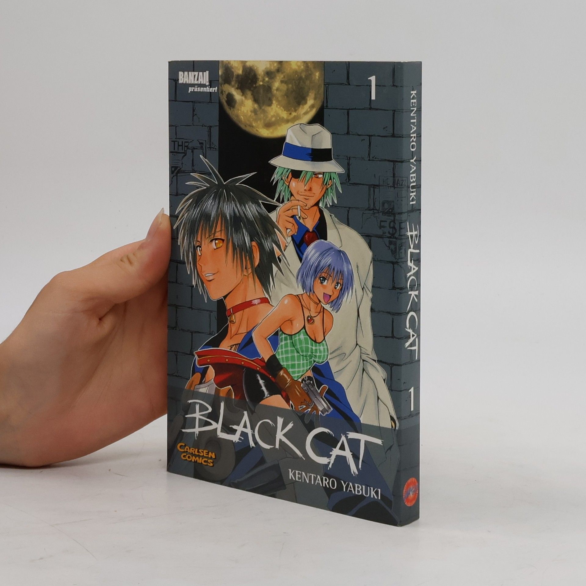 Kentaro Yabuki Black Cat