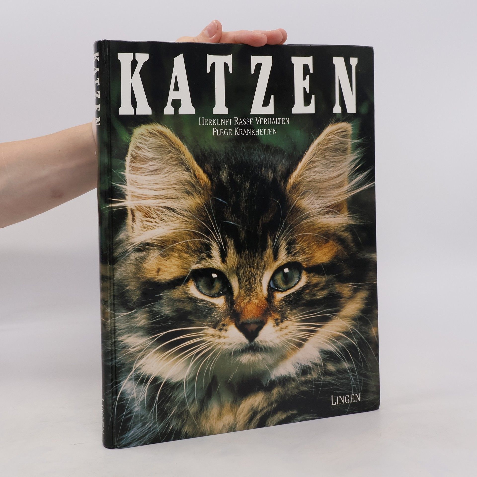 AA.VV. Katzen