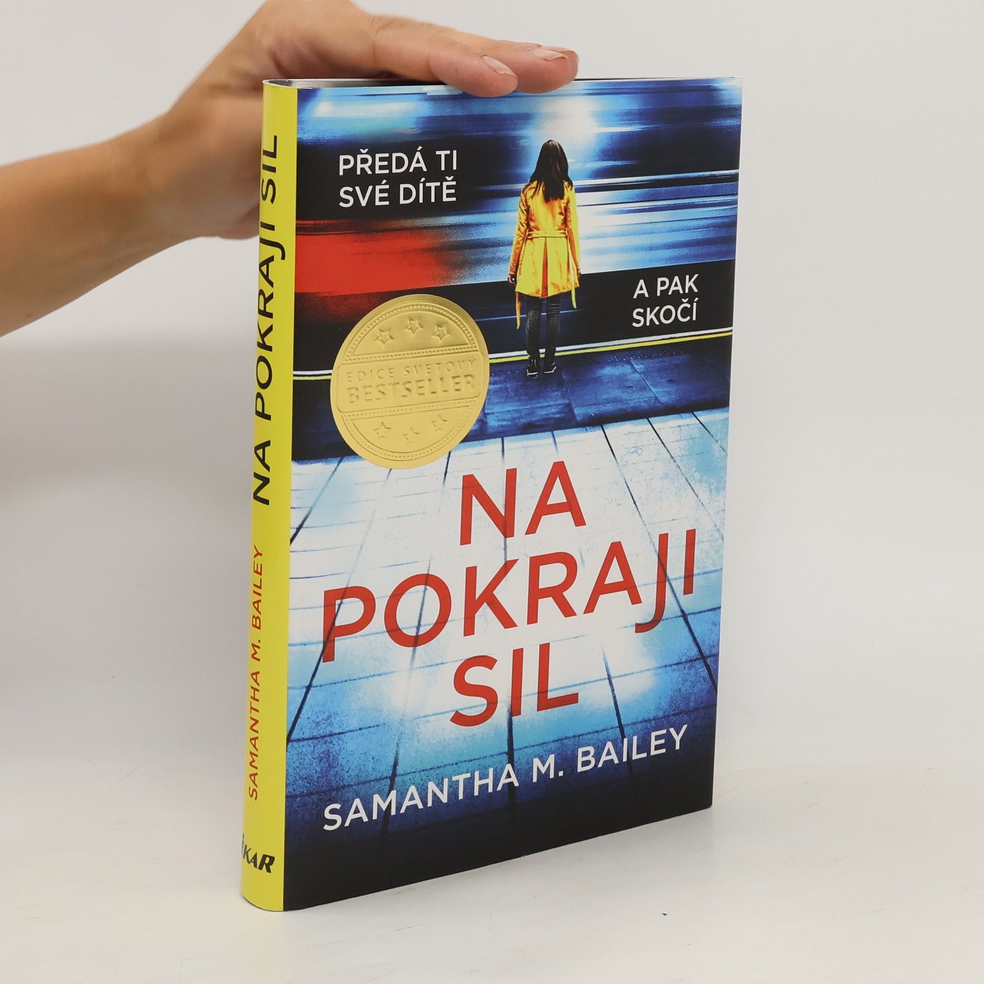 Samantha M. Bailey Na pokraji sil