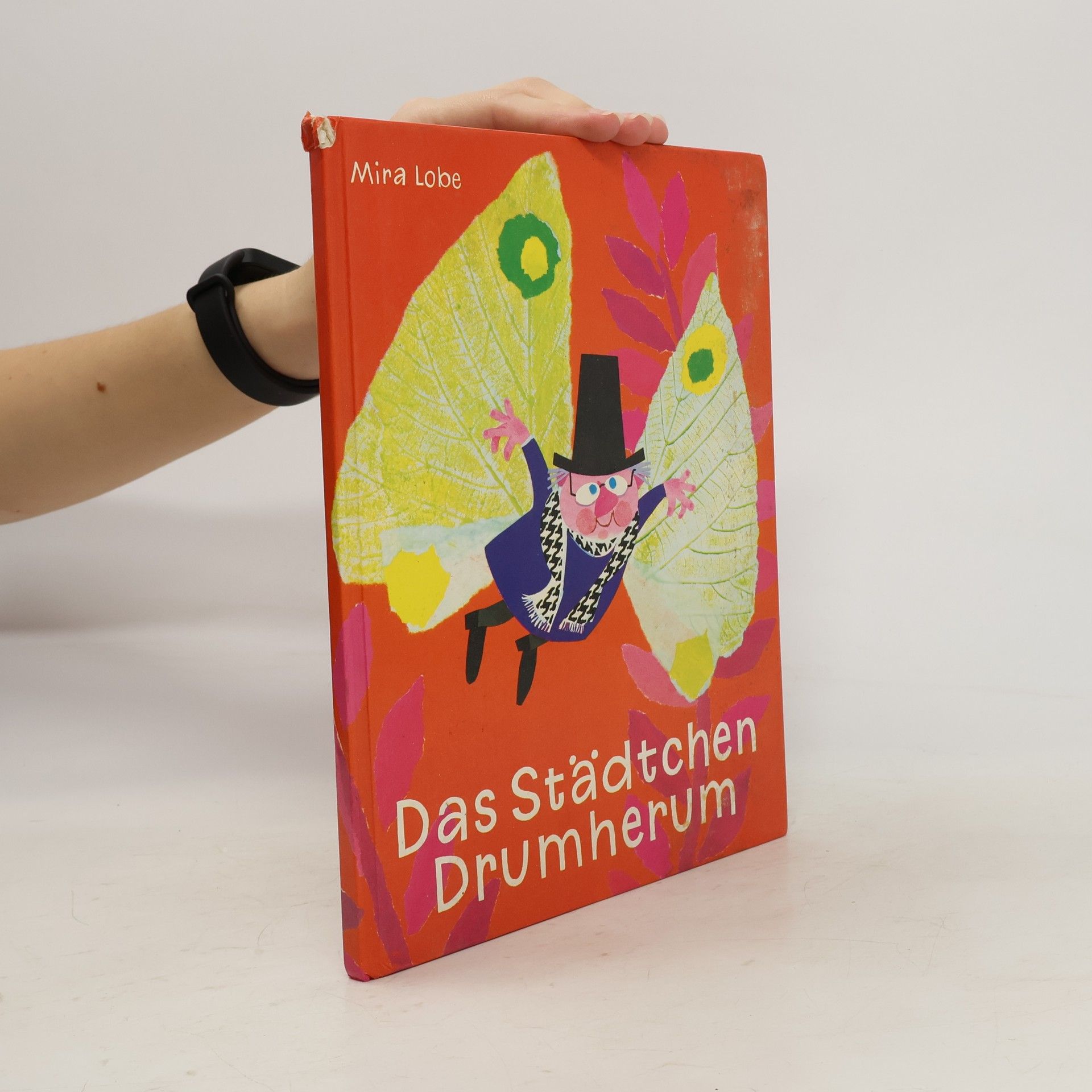 Mira Lobe Das Städtchen Drumherum