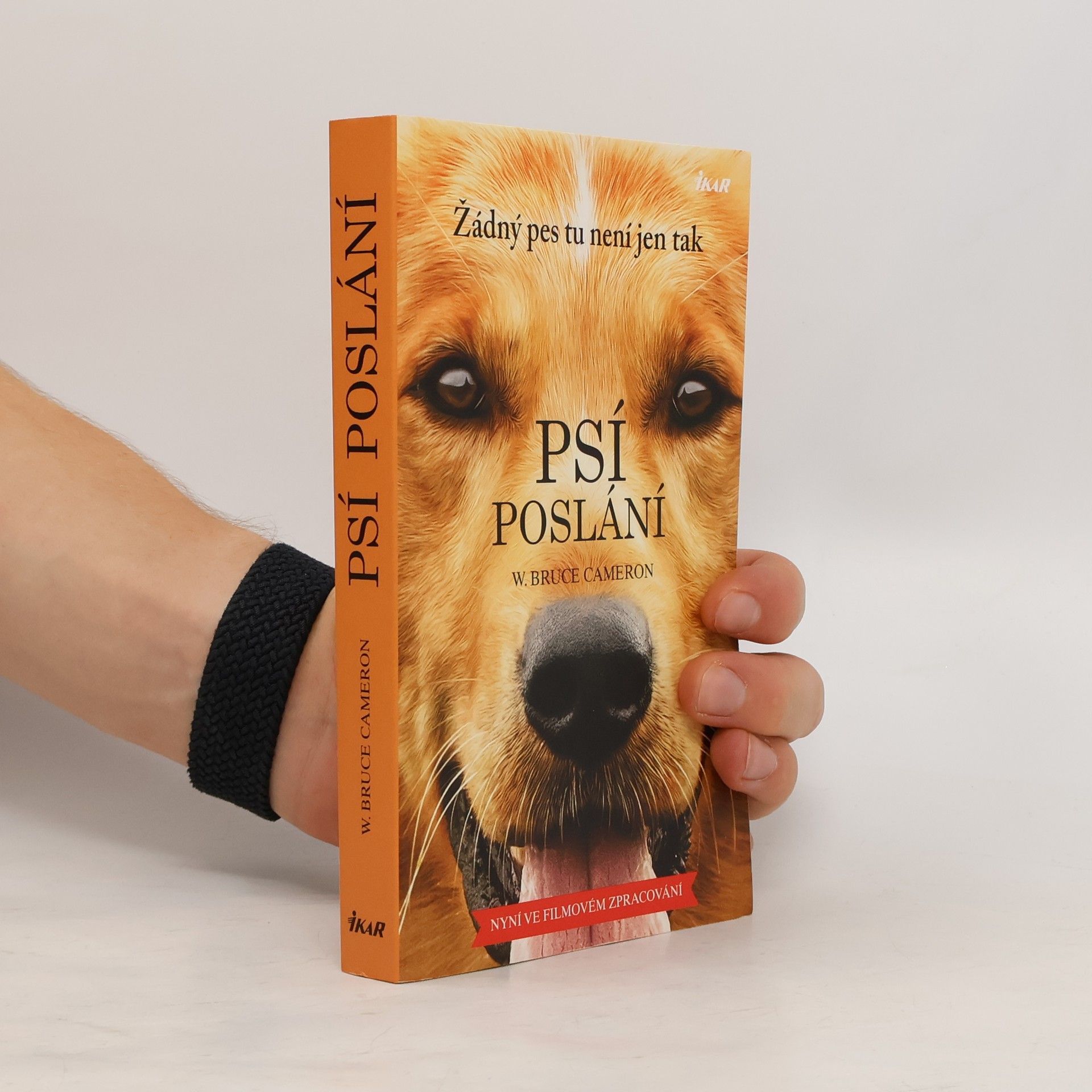 W. Bruce Cameron Psí poslání. Žádný pes tu není jen tak
