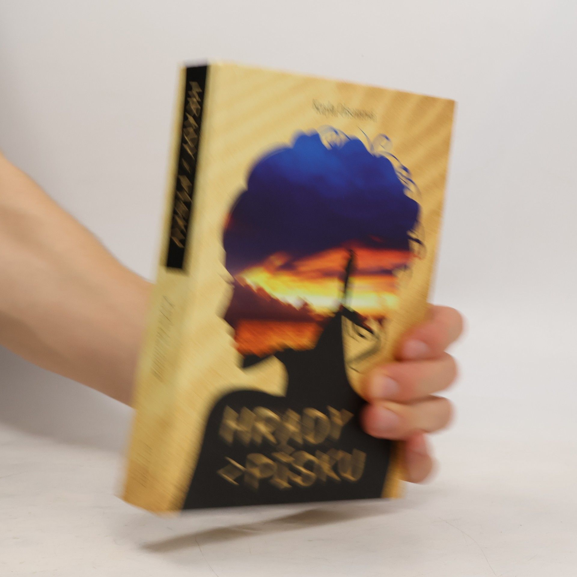 Kayla Olson Hrady z písku