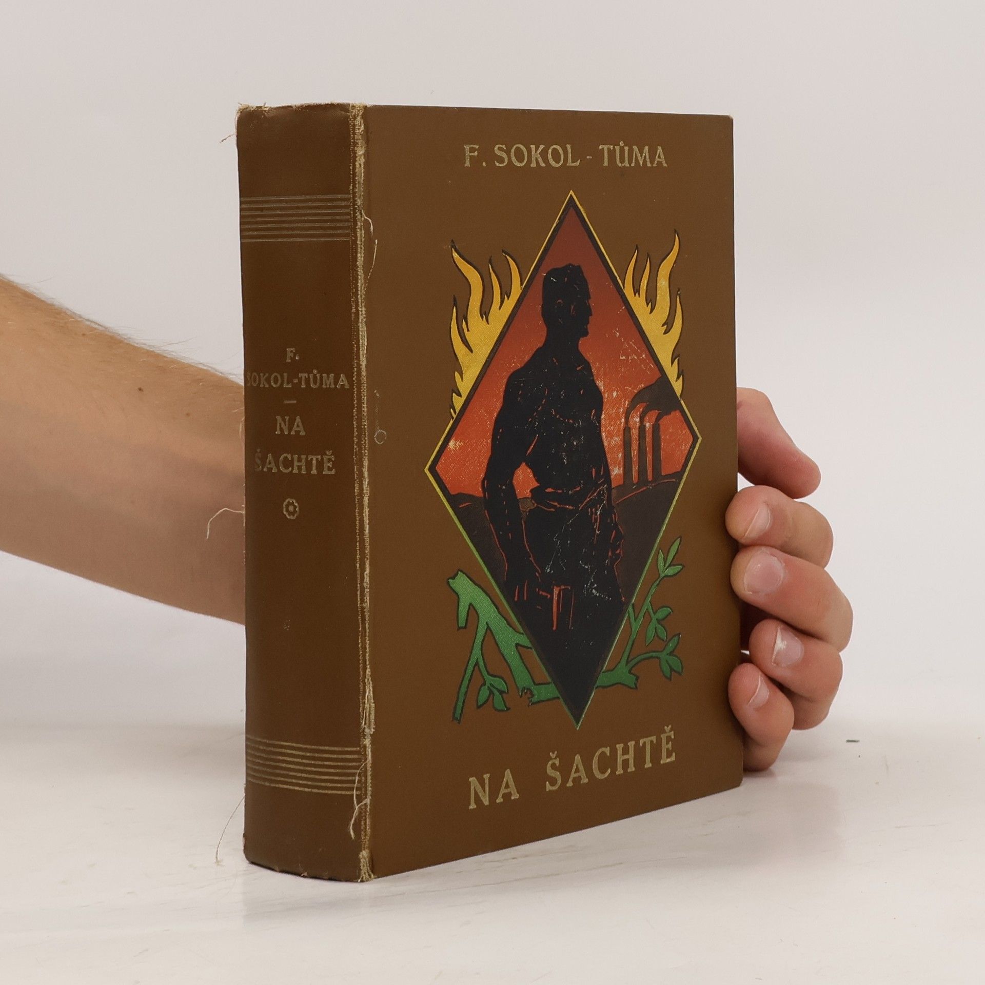 František Sokol Tůma Na šachtě