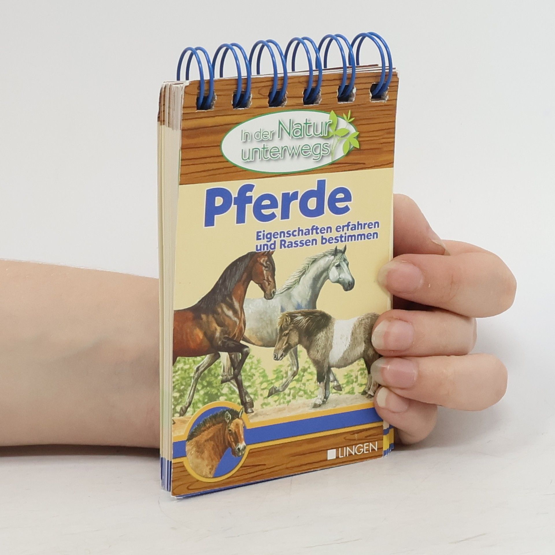 Collective Pferde