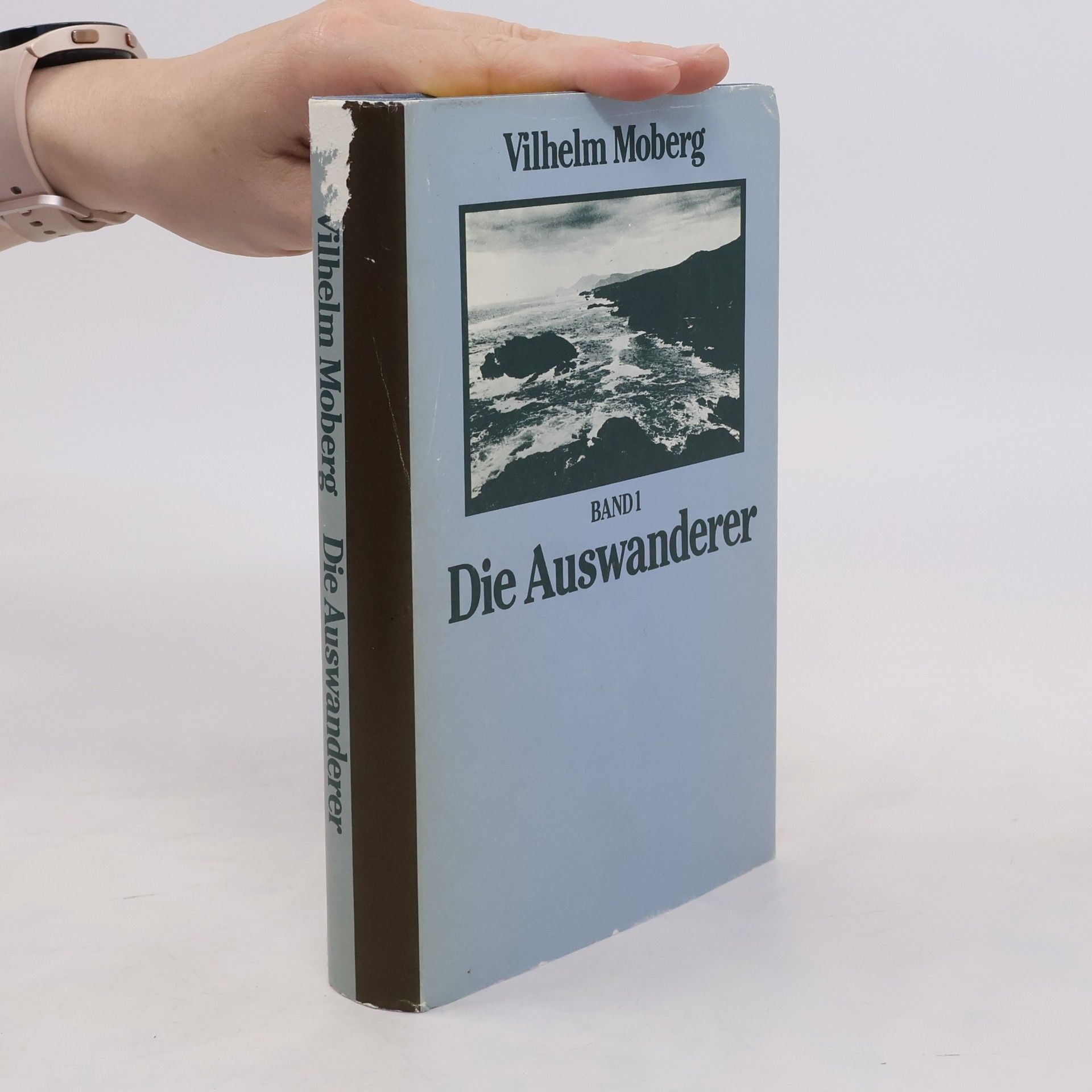 Vilhelm Moberg In der Neuen Welt. Band 2