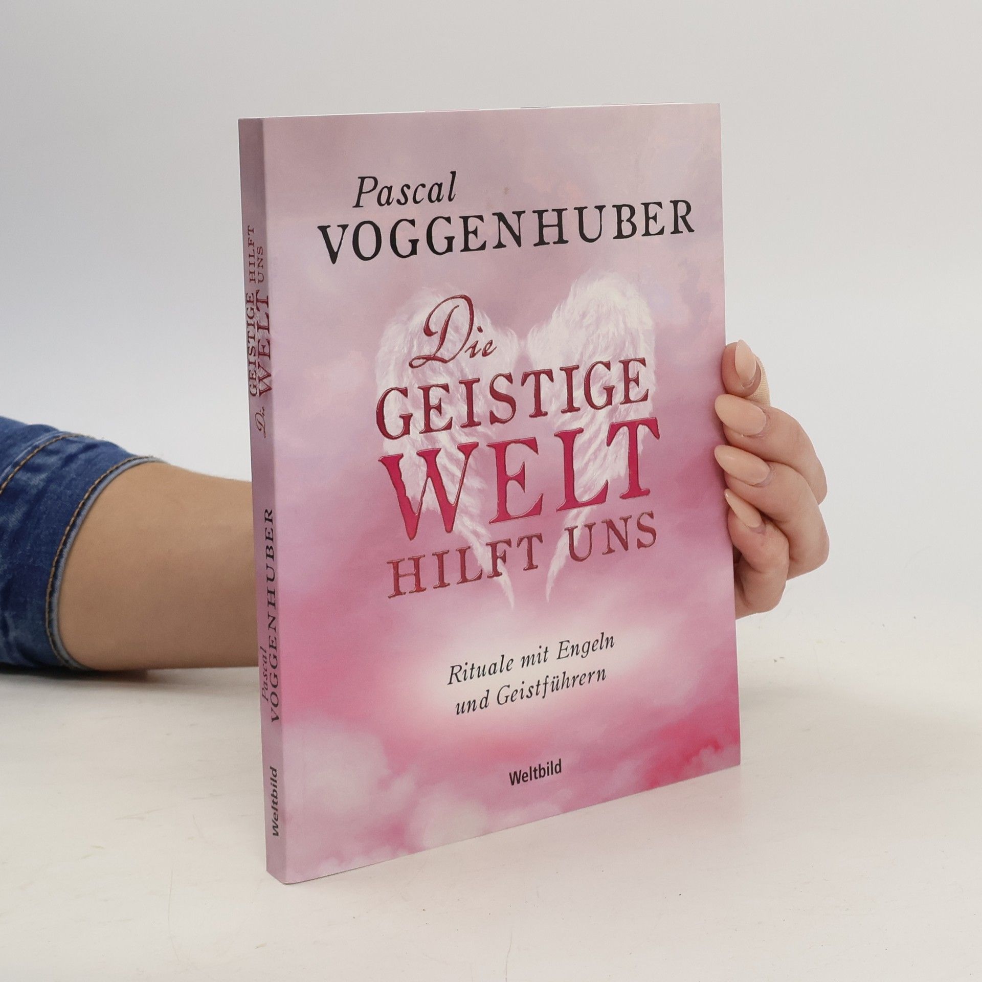 Pascal Voggenhuber Die geistige Welt hilt uns