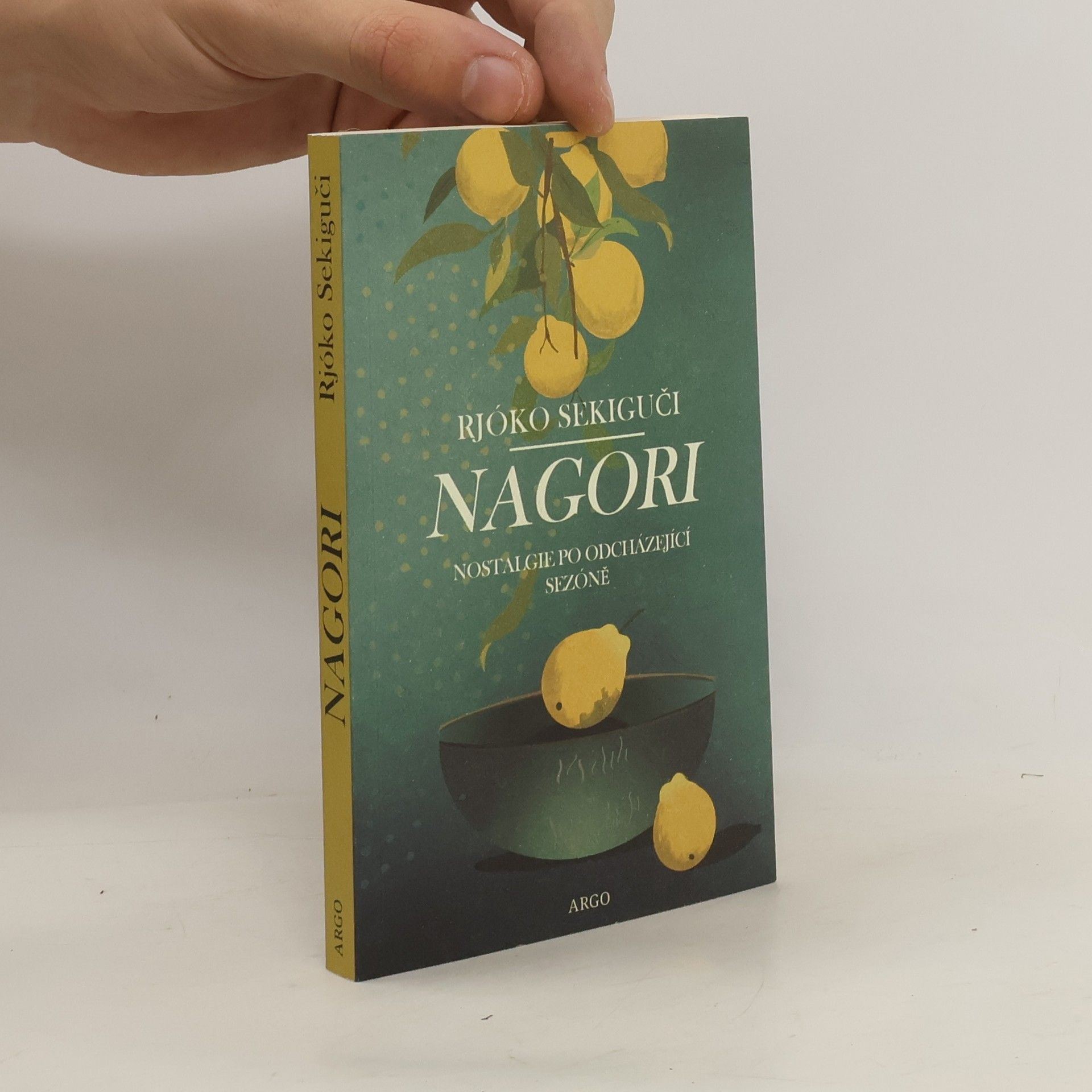 Ryōko Sekiguchi Nagori : japonská kronika