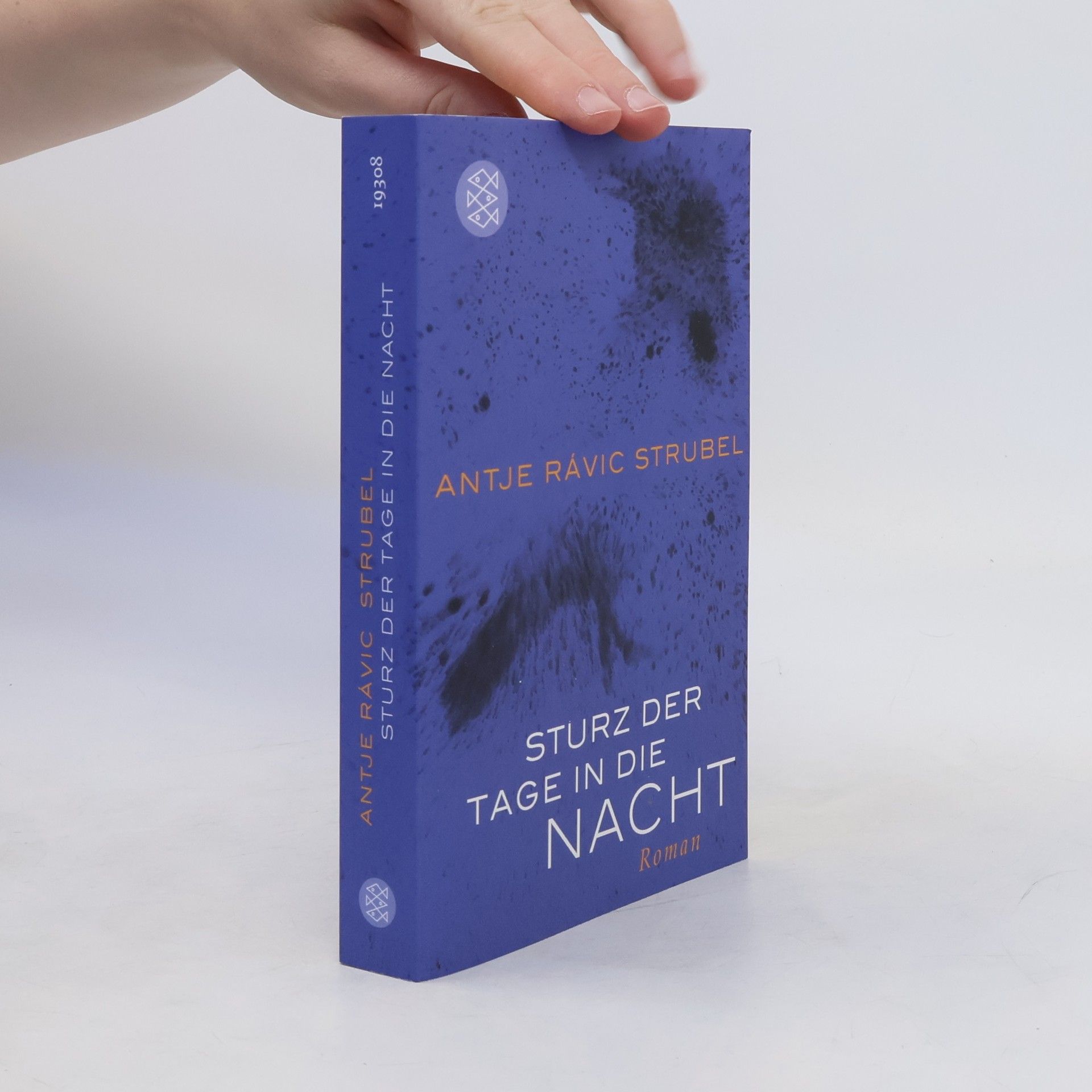 Antje Rávic Strubel Sturz der Tage in die Nacht