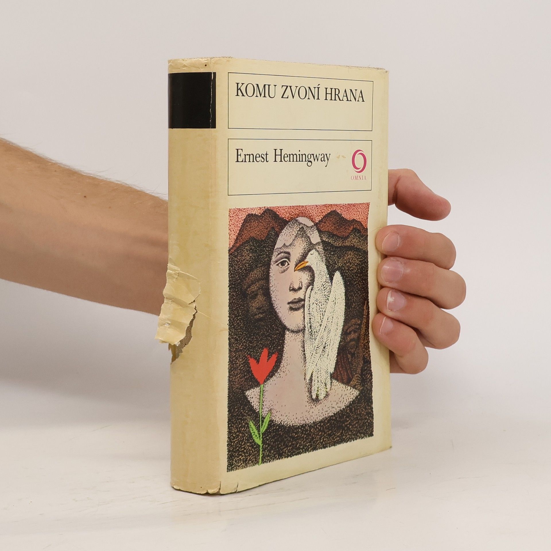 Ernest Hemingway Komu zvoní hrana