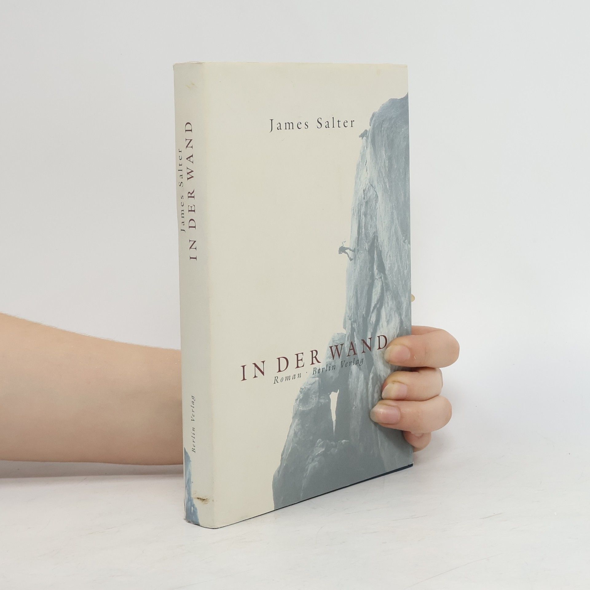 James Salter In der Wand