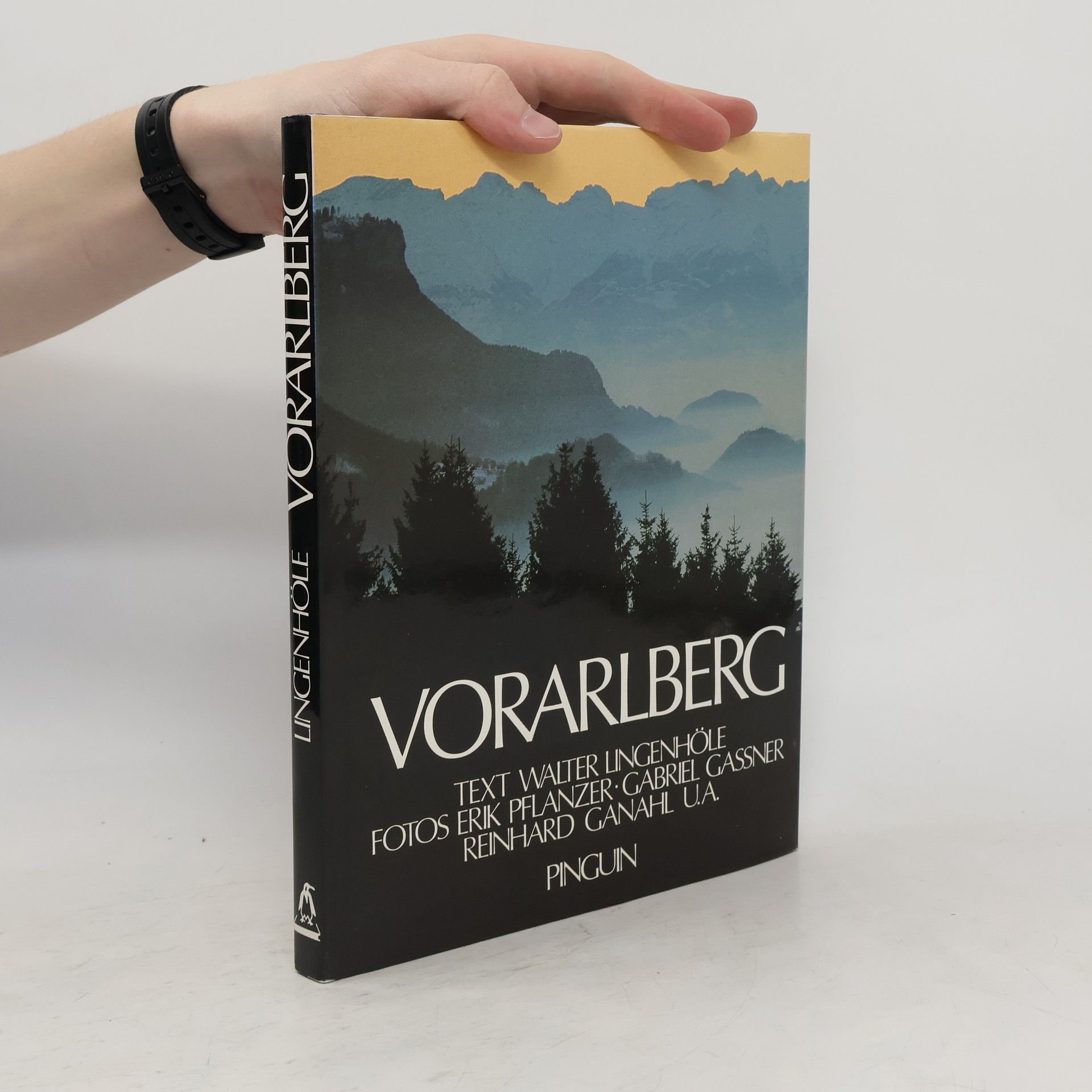 Walter Lingenhöle Vorarlberg