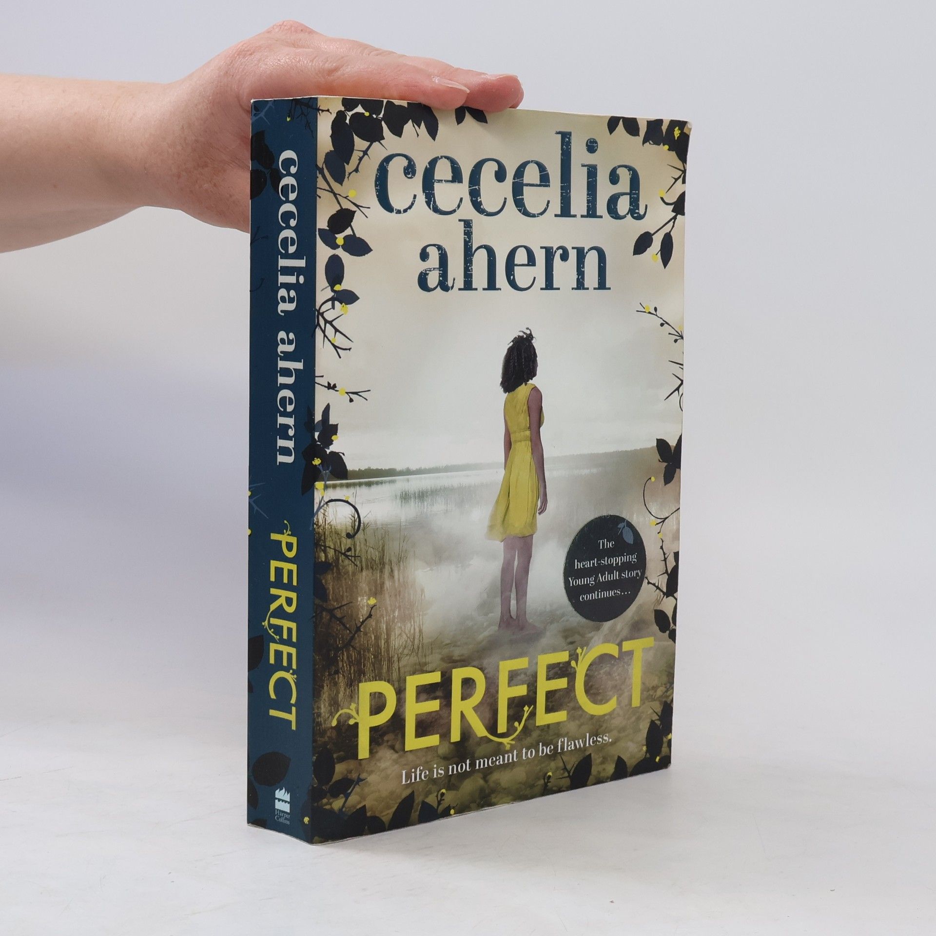 Cecelia Ahern Perfect