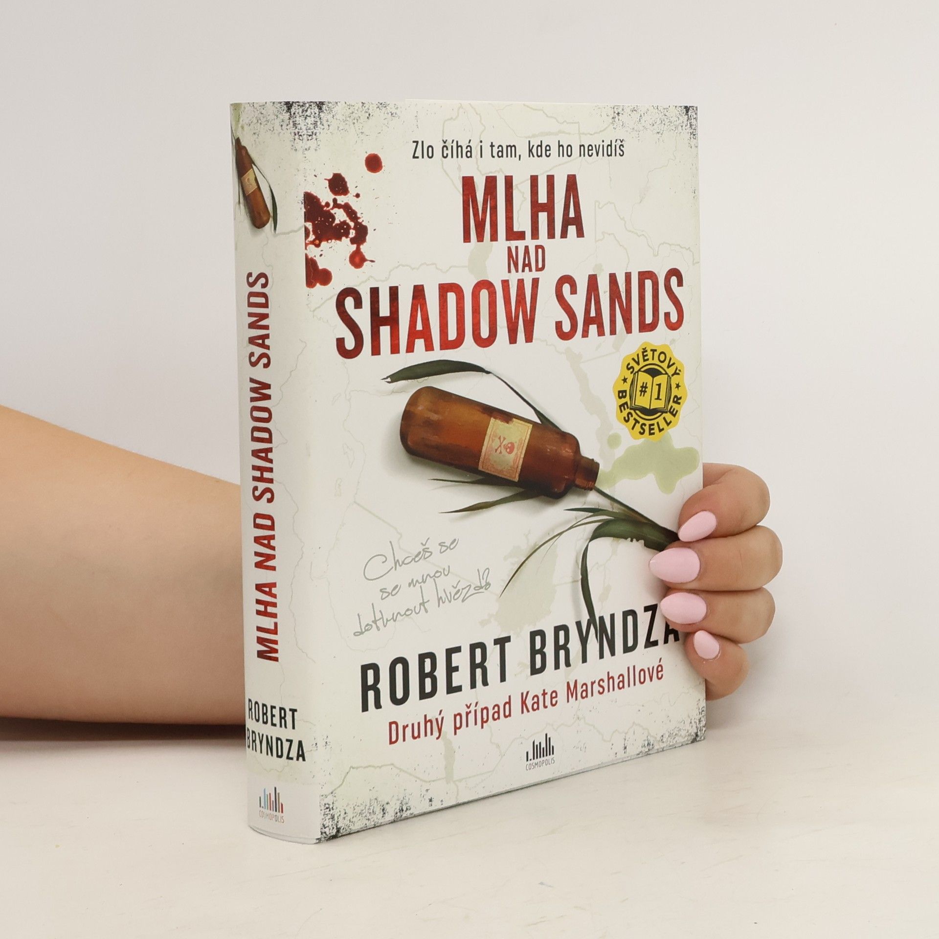 Robert Bryndza Mlha nad Shadow Sands