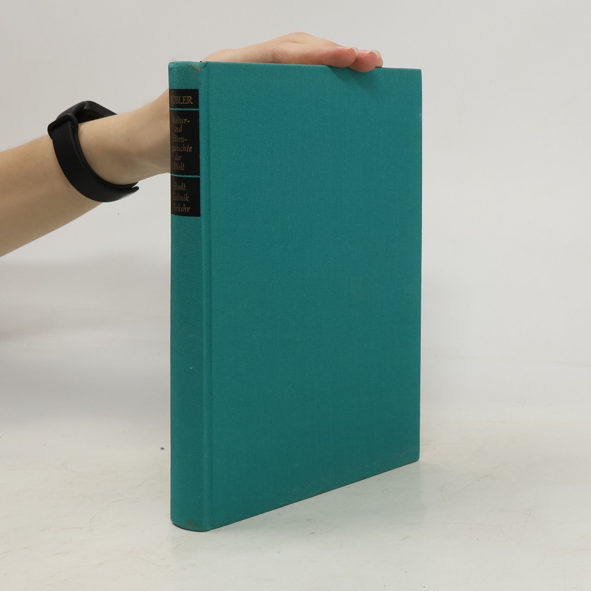 Auteurscollectief Kultur- und Sittengeschichte der Welt. Stadt. Technik. Verkehr