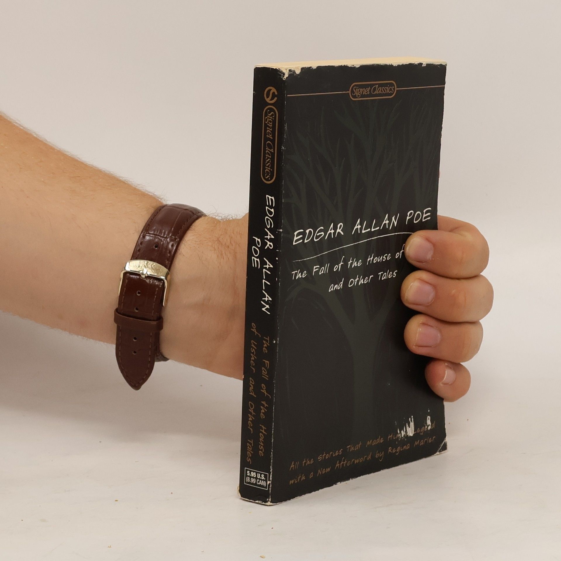 Edgar Allan Poe The Fall of the House of Usher and Other Tales