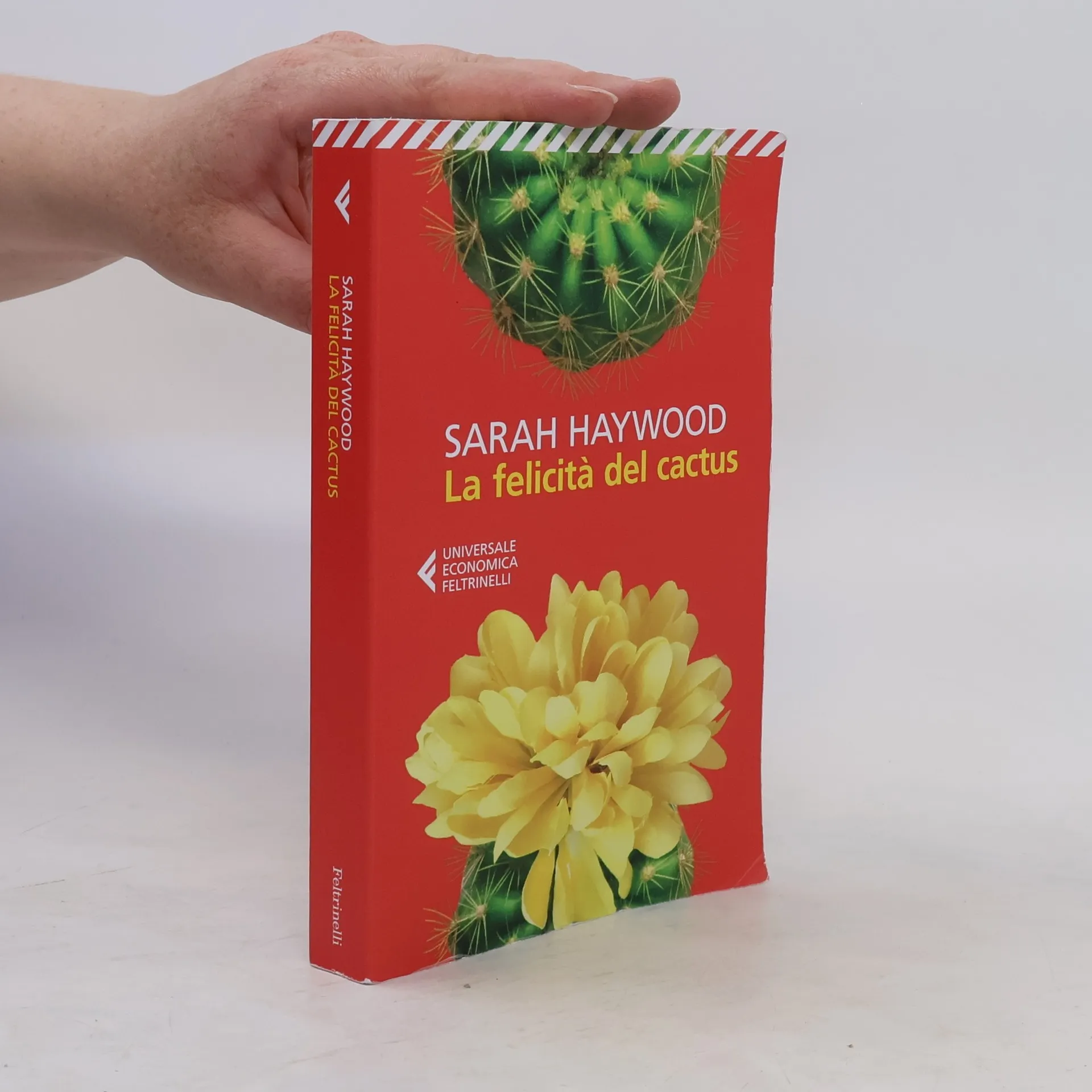 La felicità del cactus | Libro | Sarah Haywood
