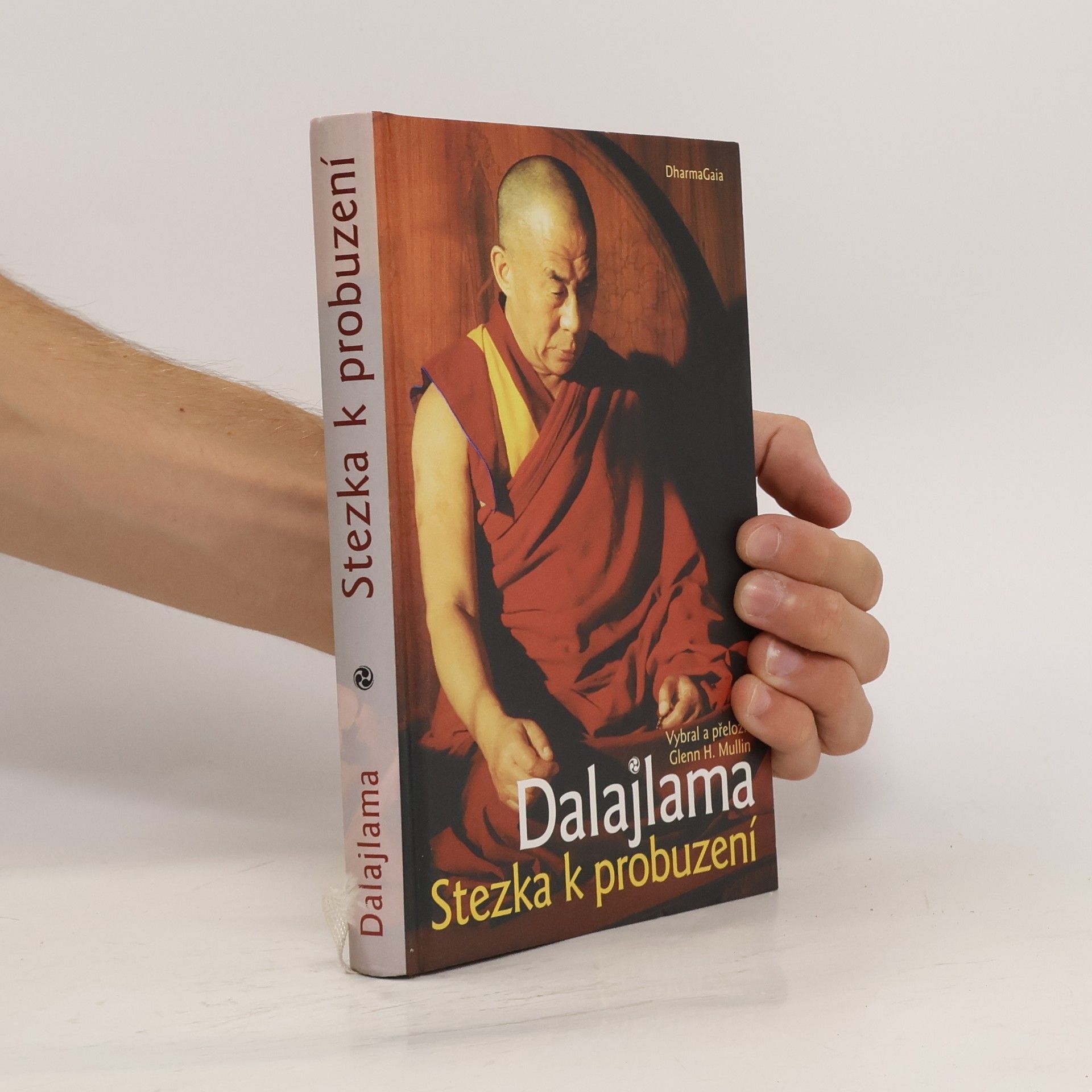 Dalajlama Stezka k probuzení