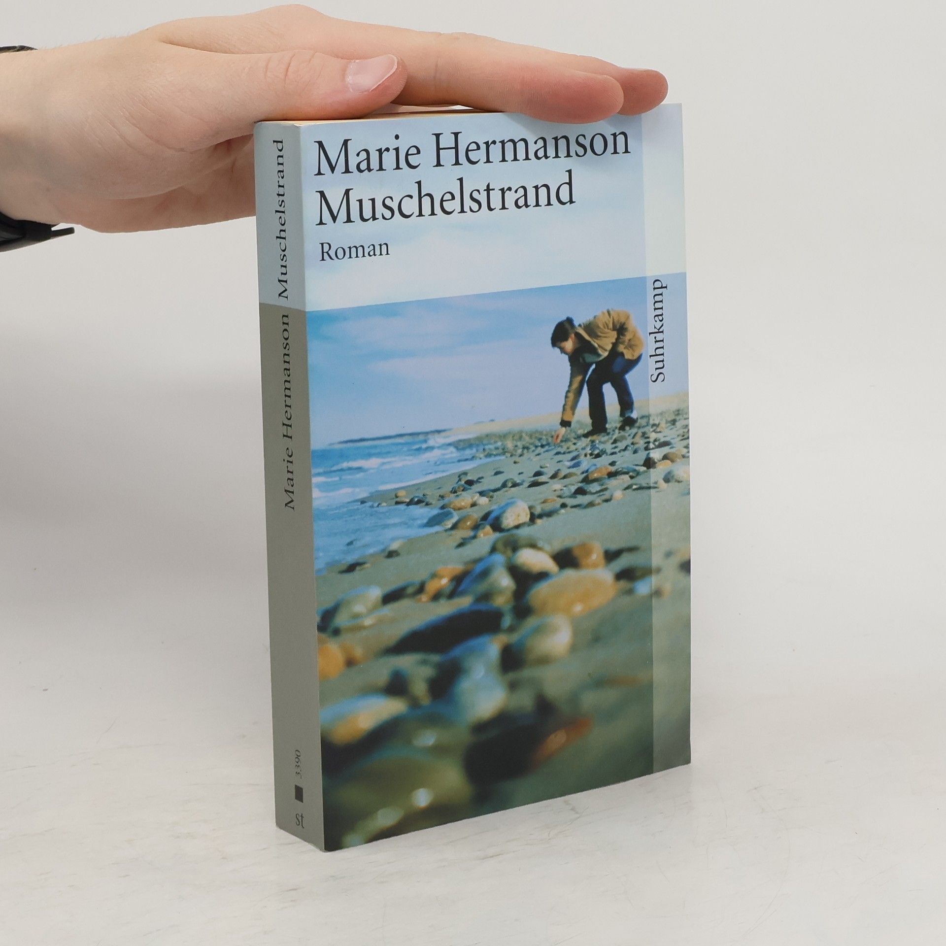 Marie Hermanson Muschelstrand
