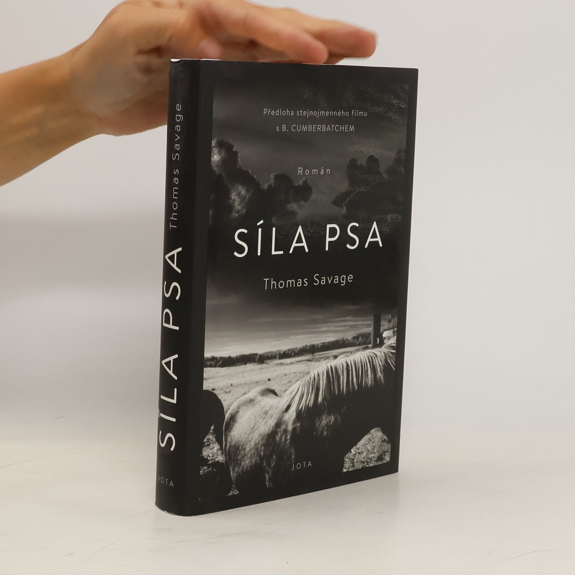 Thomas Savage Síla psa