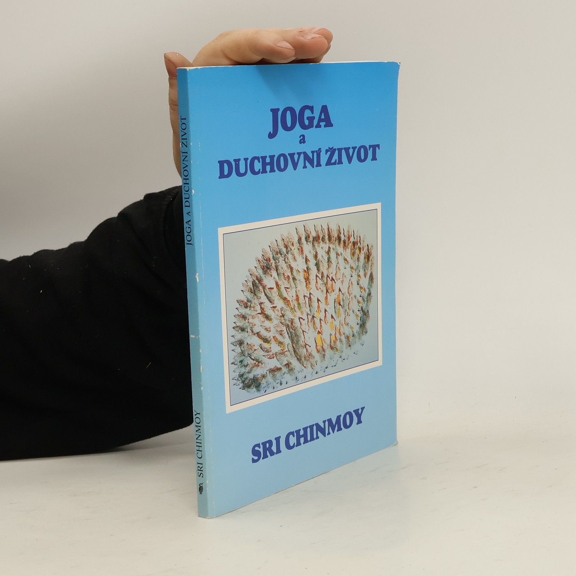 Chinmoy Jóga a duchovní život: Cesta indické duše