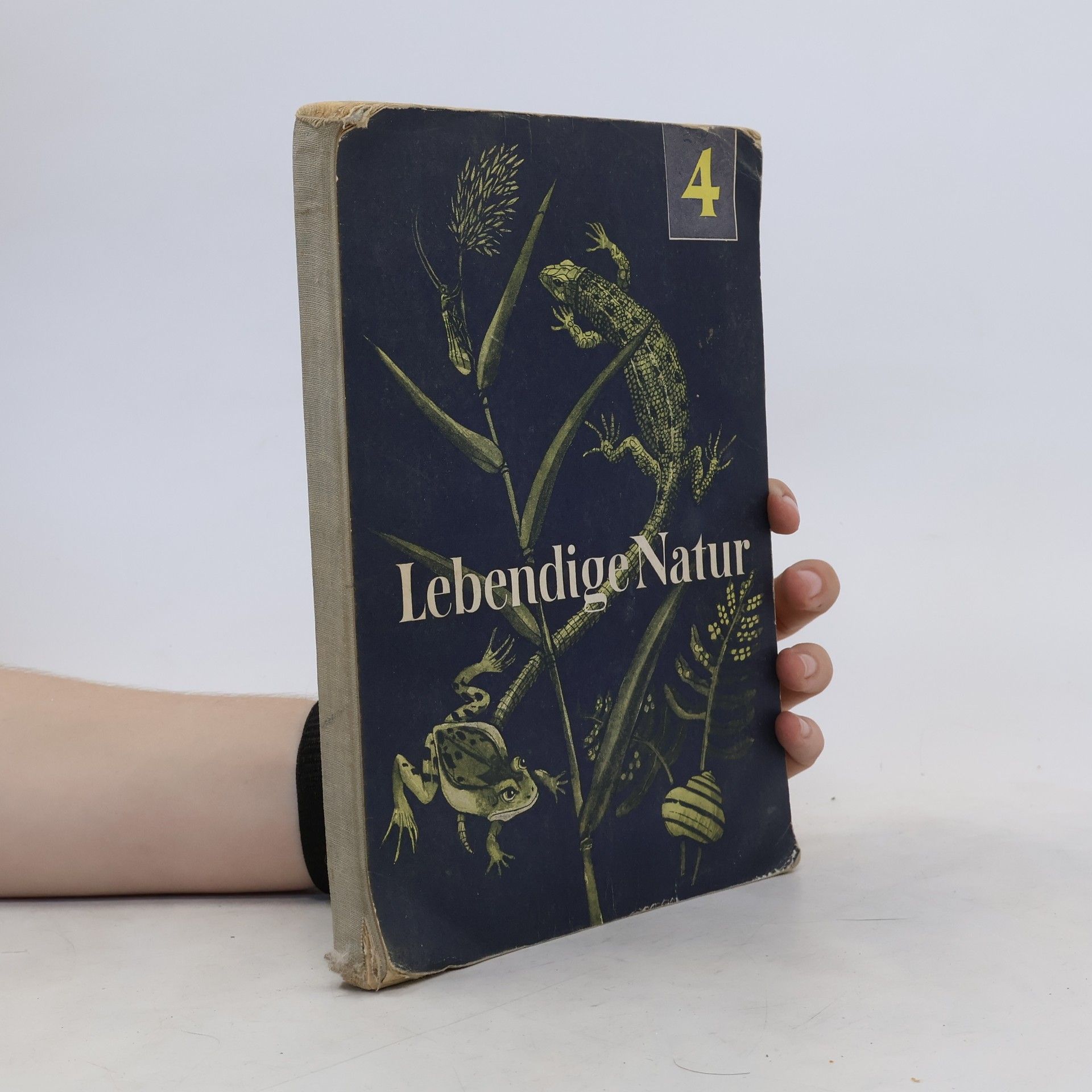 Erich Stengel Lebendige Natur 4
