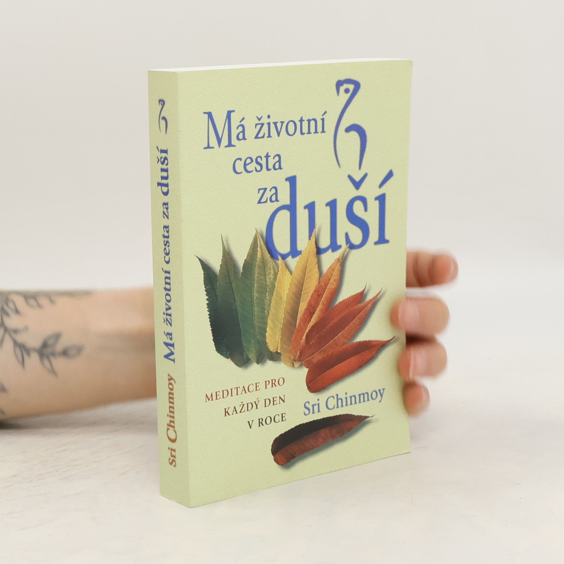 Sri Chinmoy Má životní cesta za duší : meditace pro každý den v roce