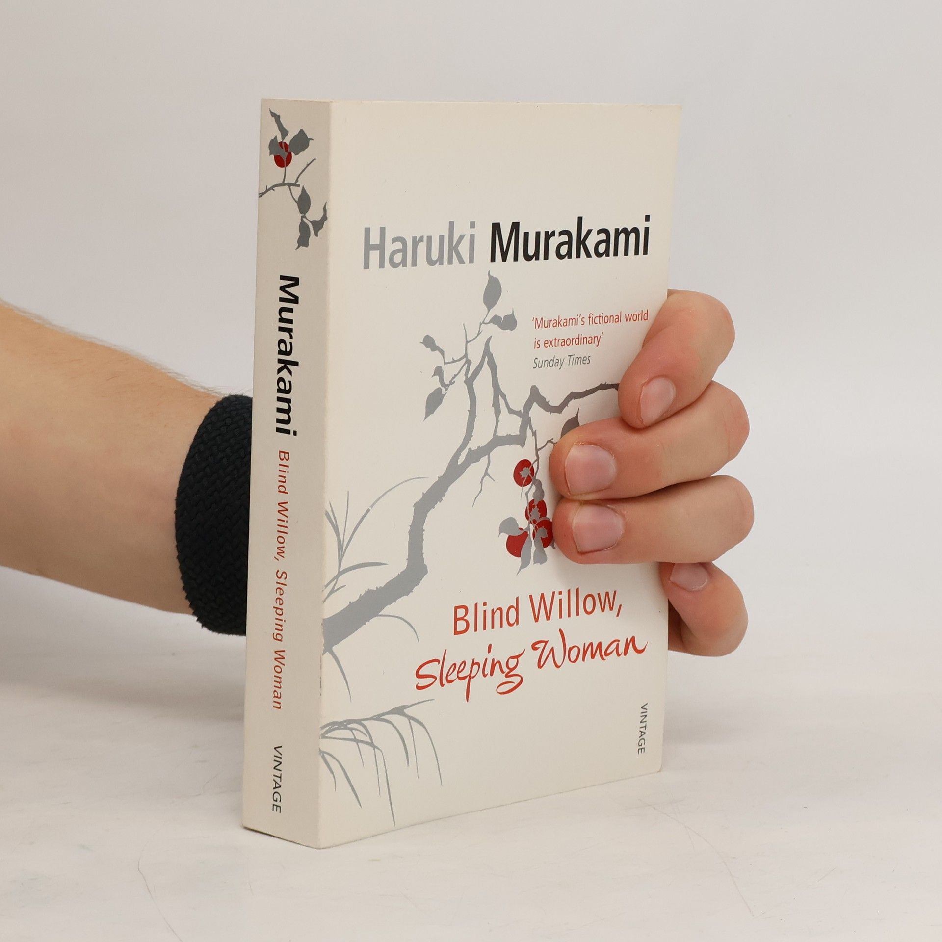 Haruki Murakami Blind Willow, Sleeping Woman
