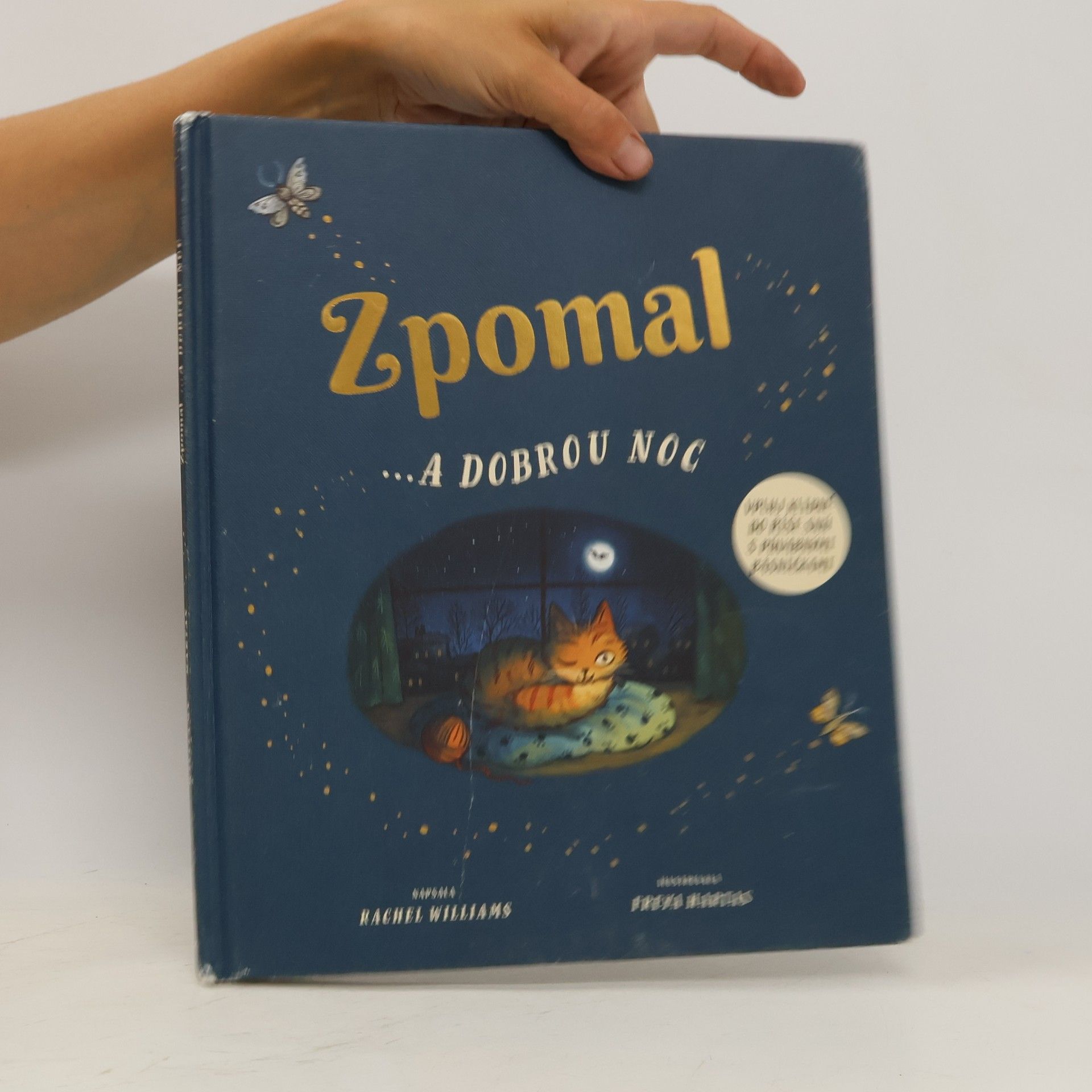 Rachel Williams Zpomal ...a dobrou noc