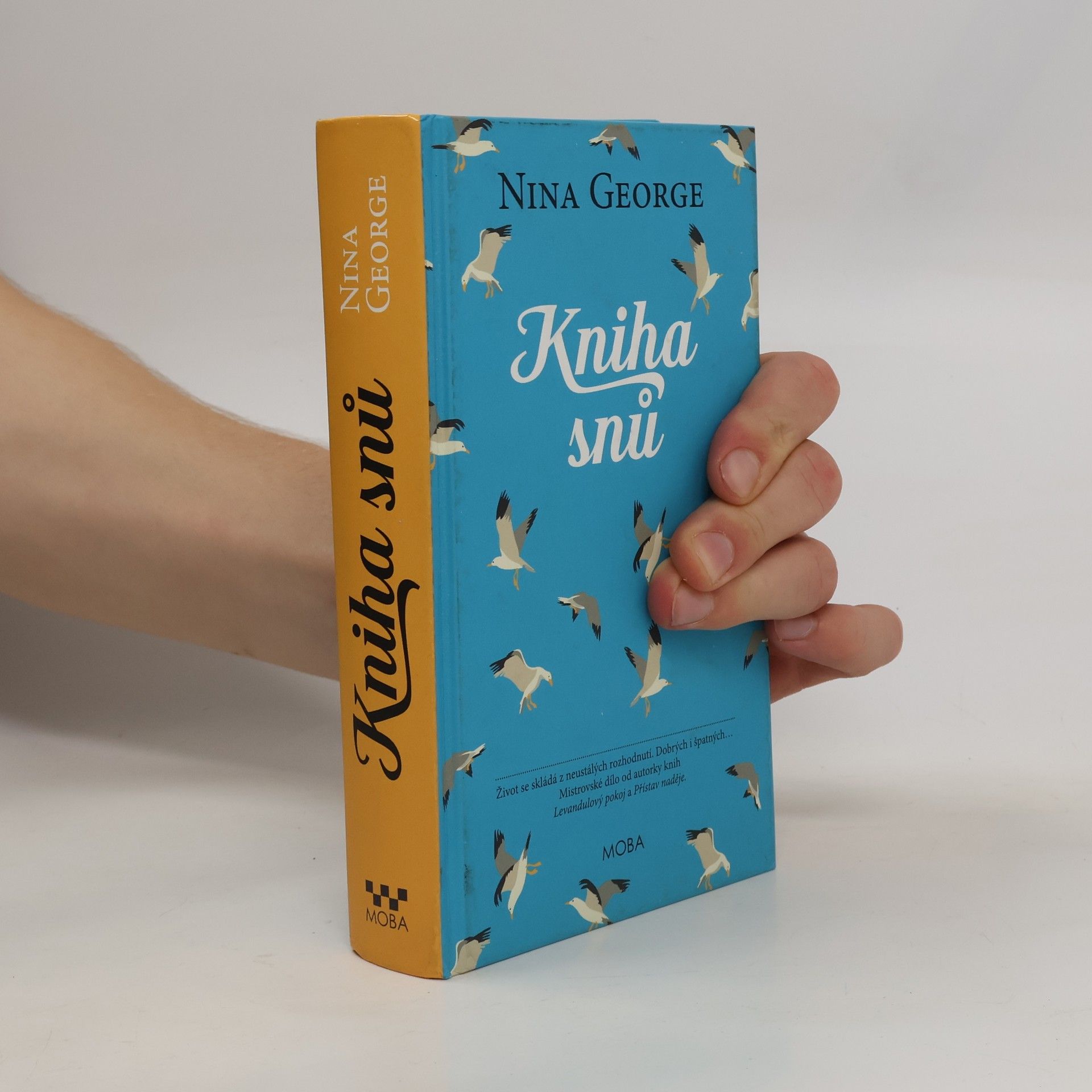 Nina George Kniha snů