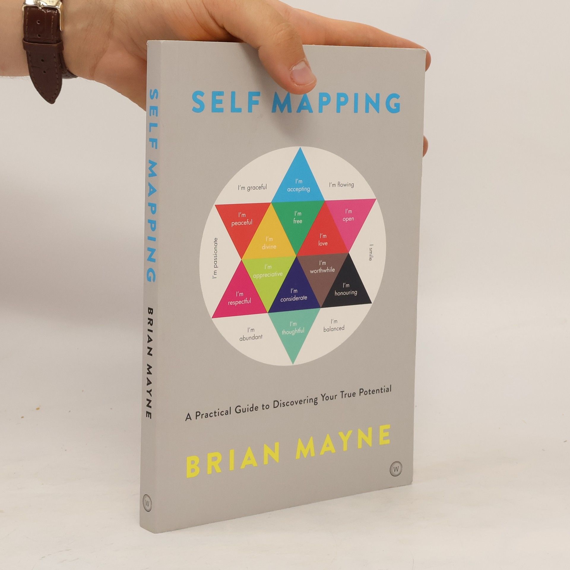 Brian Mayne Self Mapping