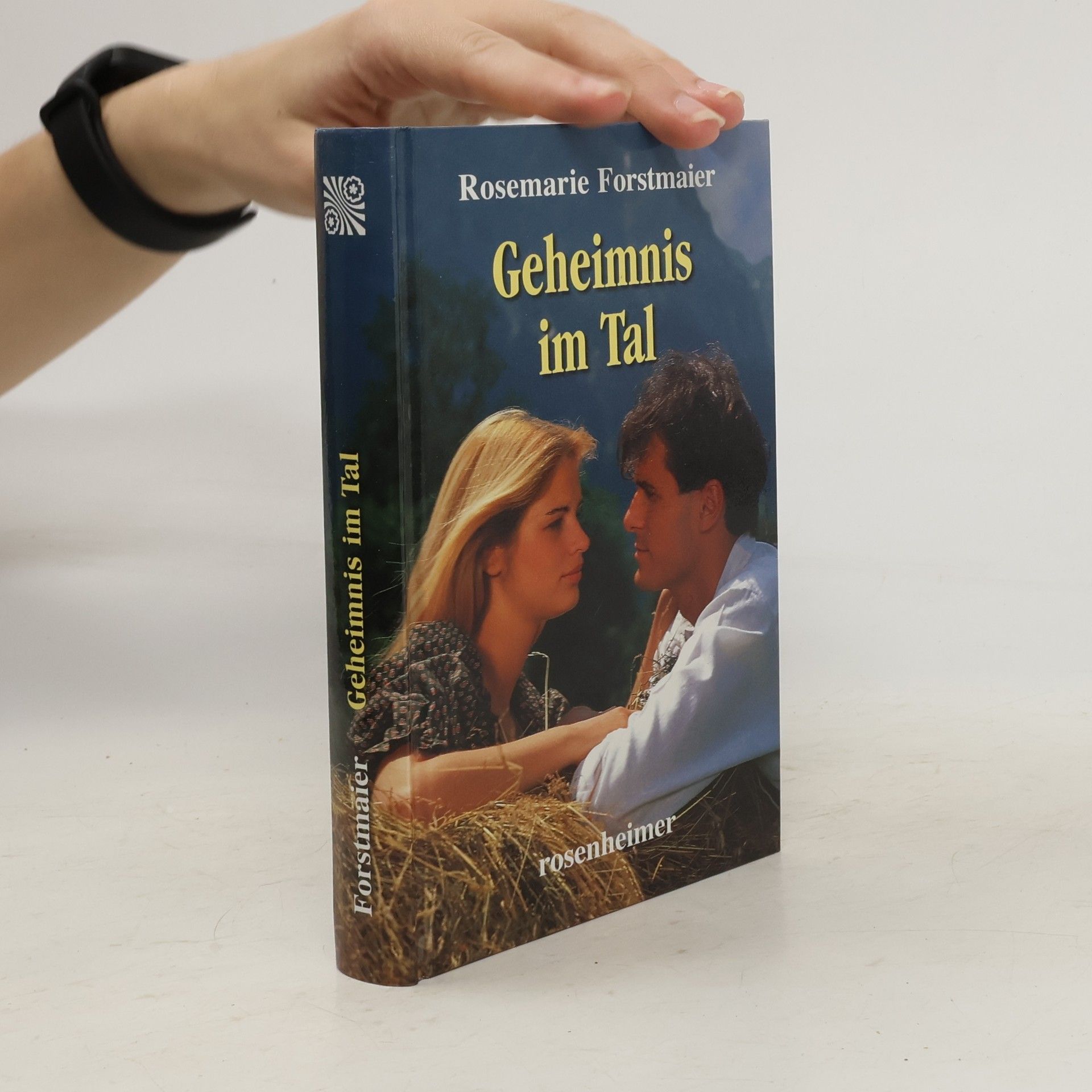 Rosemarie Forstmaier Geheimnis im Tal