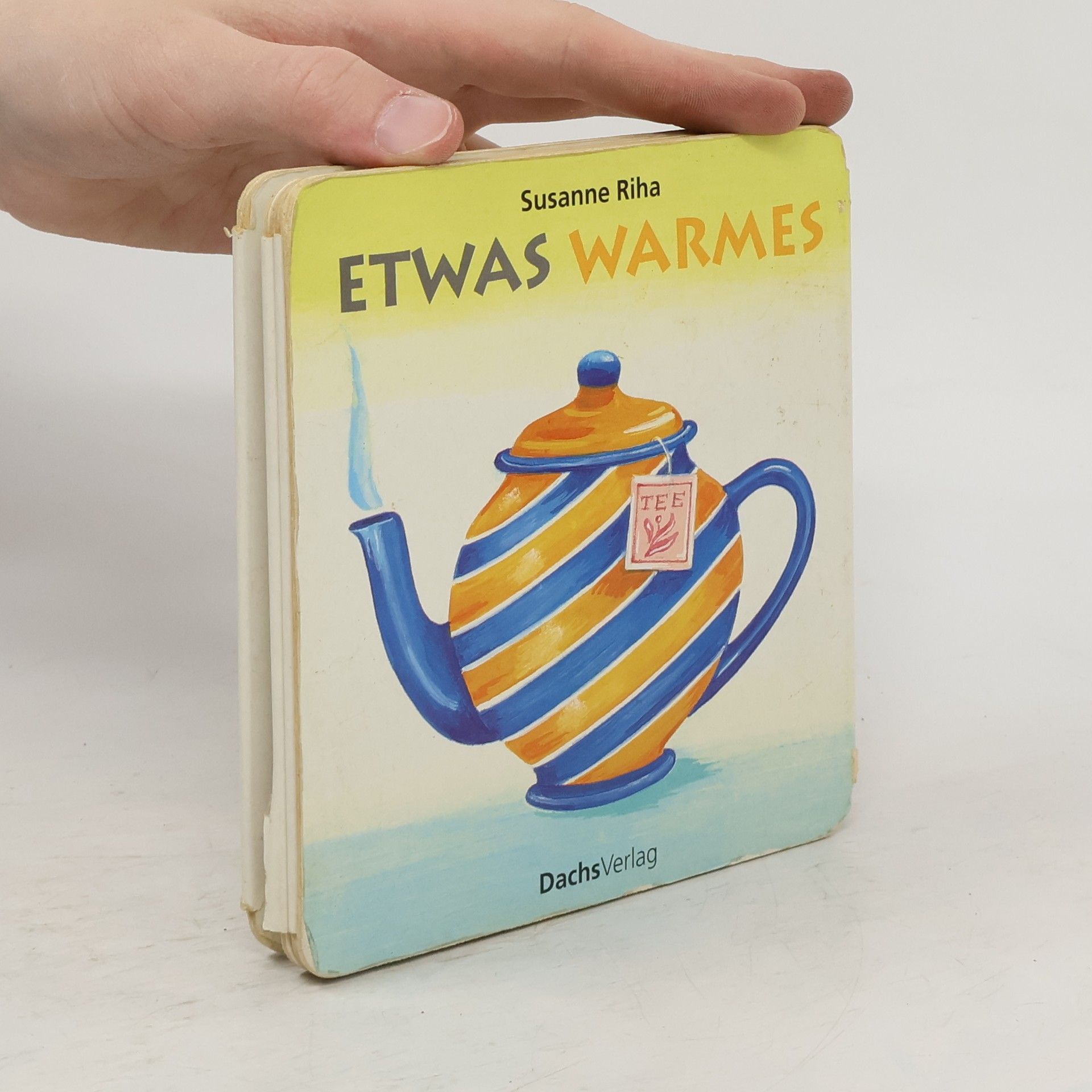 Susanne Riha Etwas Kaltes