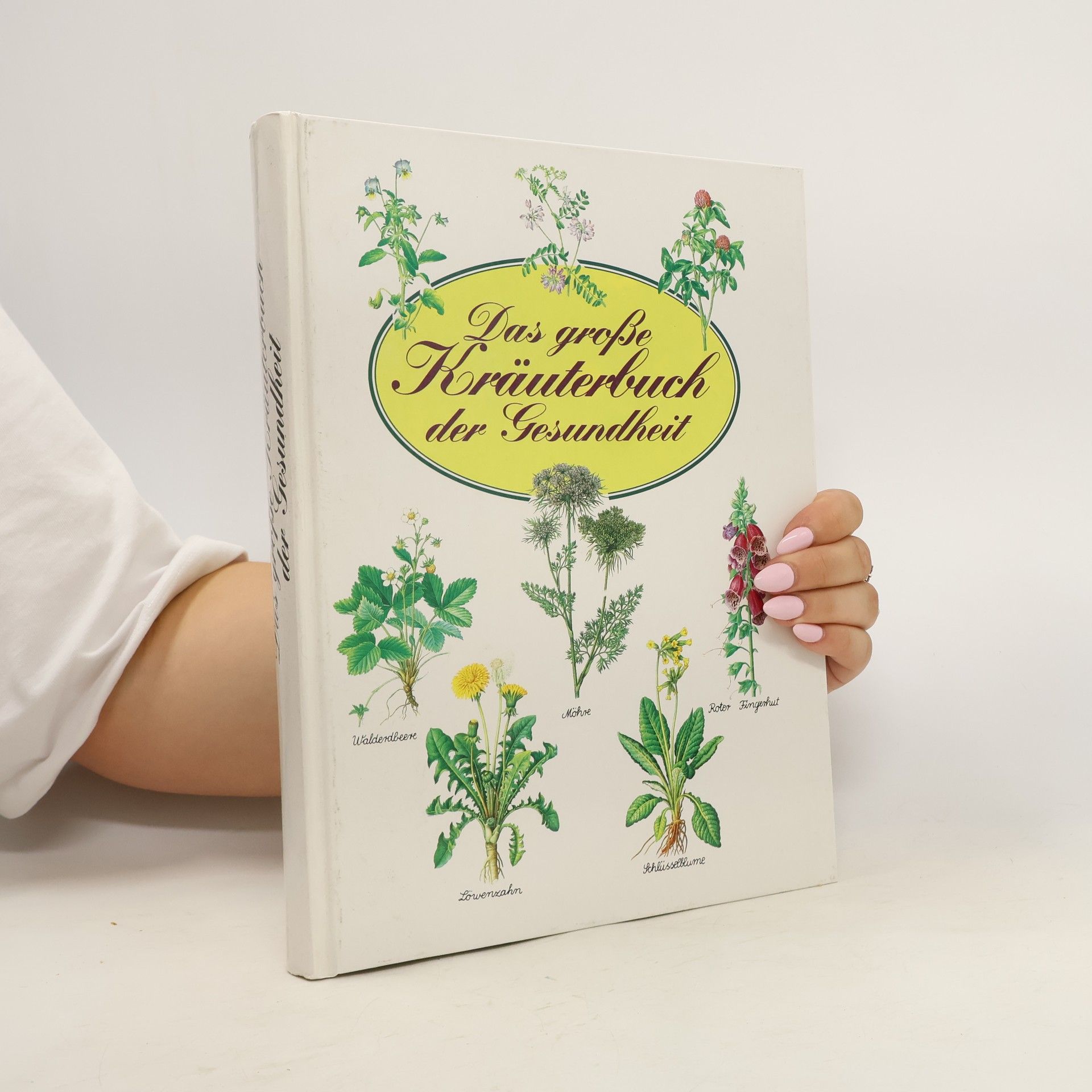 Hermann Lichtenstern Das große Kräuterbuch der Gesundheit