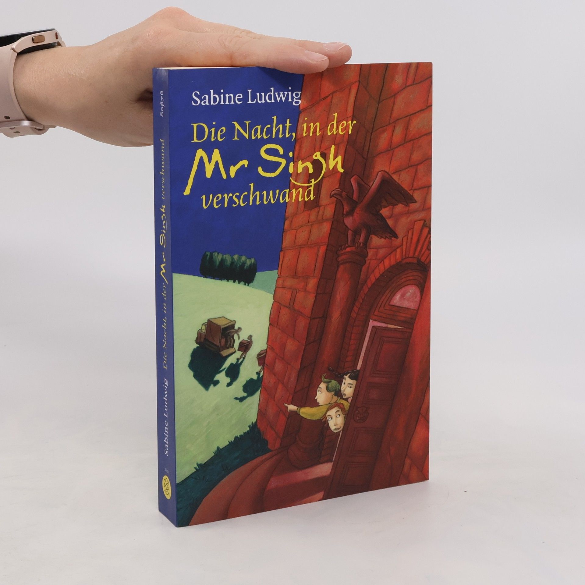 Sabine Ludwig-Szendi Die Nacht, in der Mr Singh verschwand