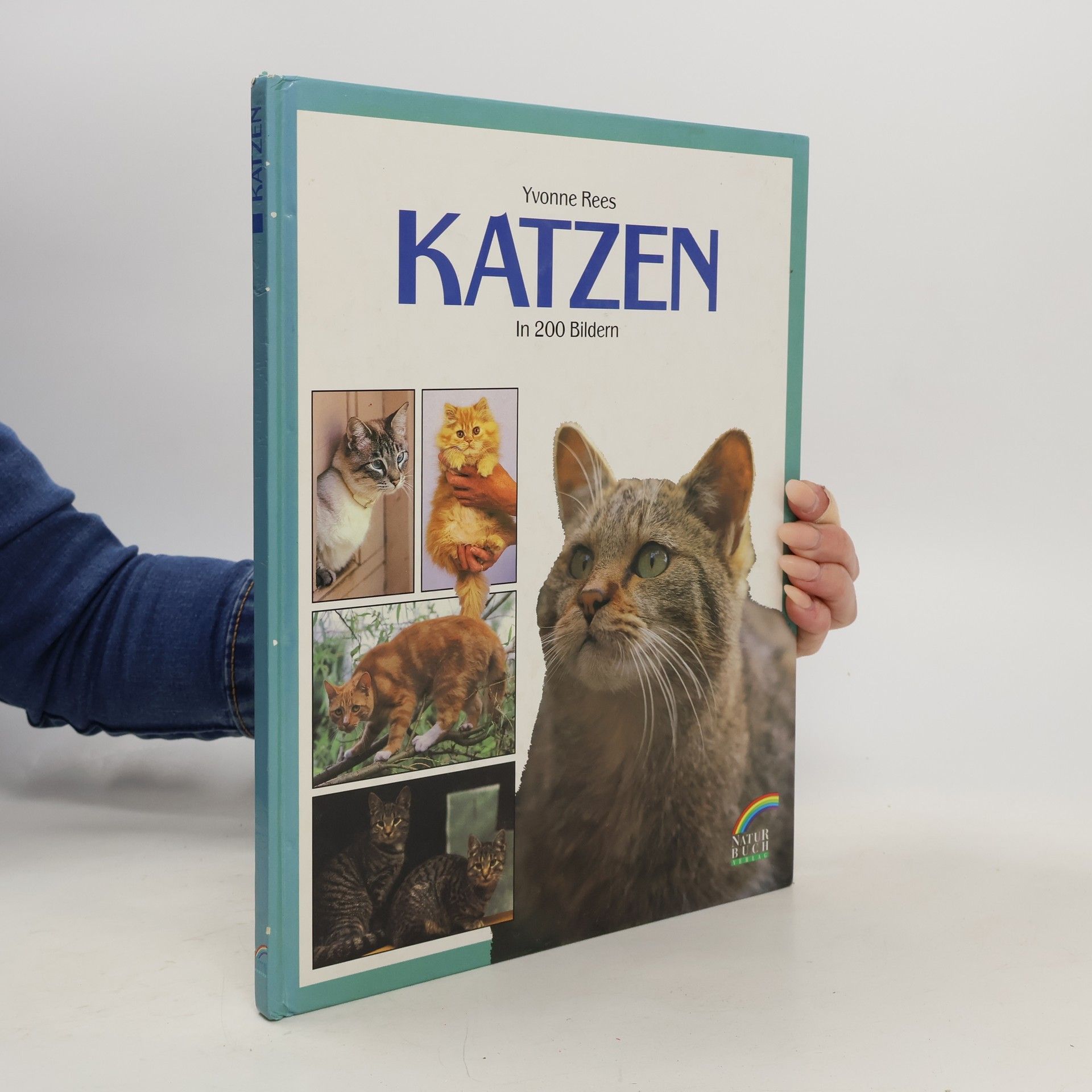 Yvonne Rees Katzen