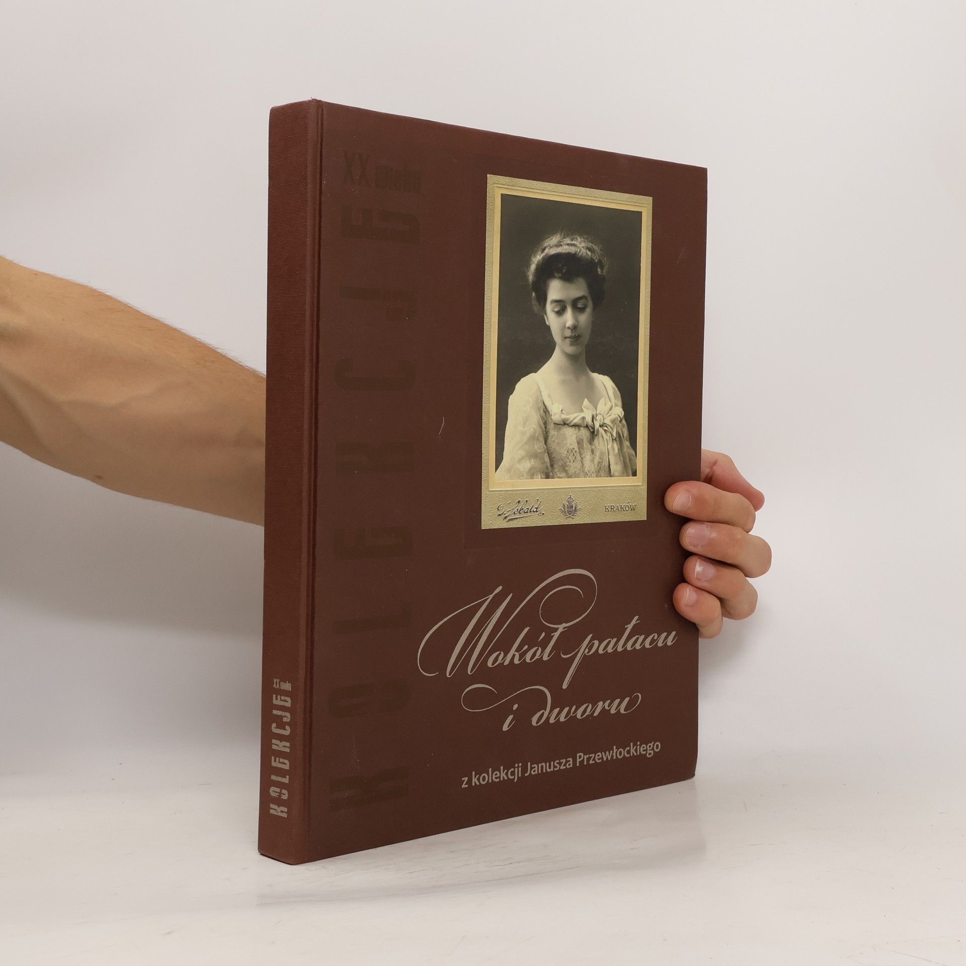 Janusz Przewłocki Wokół pałacu i dworu