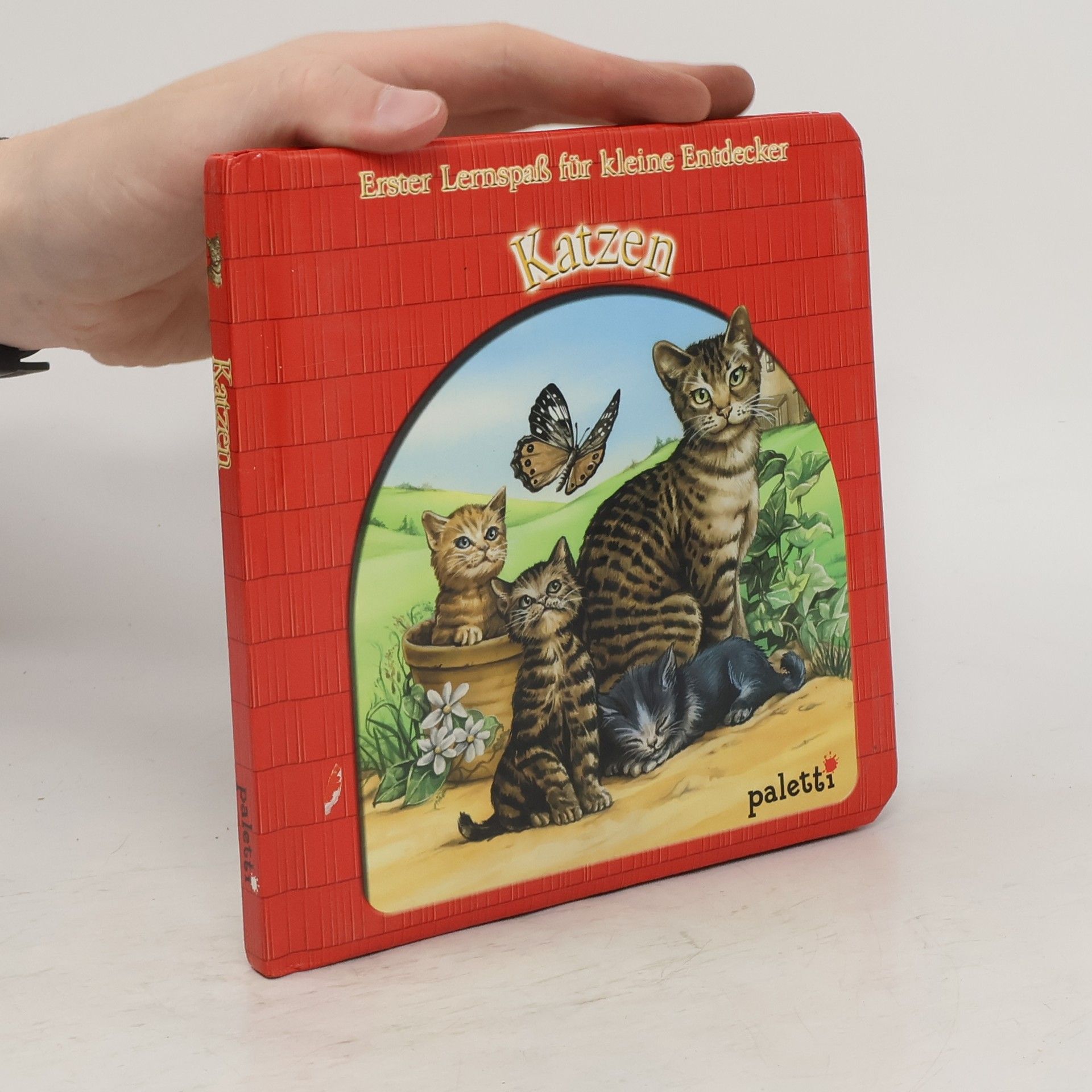kolektiv Erster Lernspaß für kleine Entdecker. Katzen