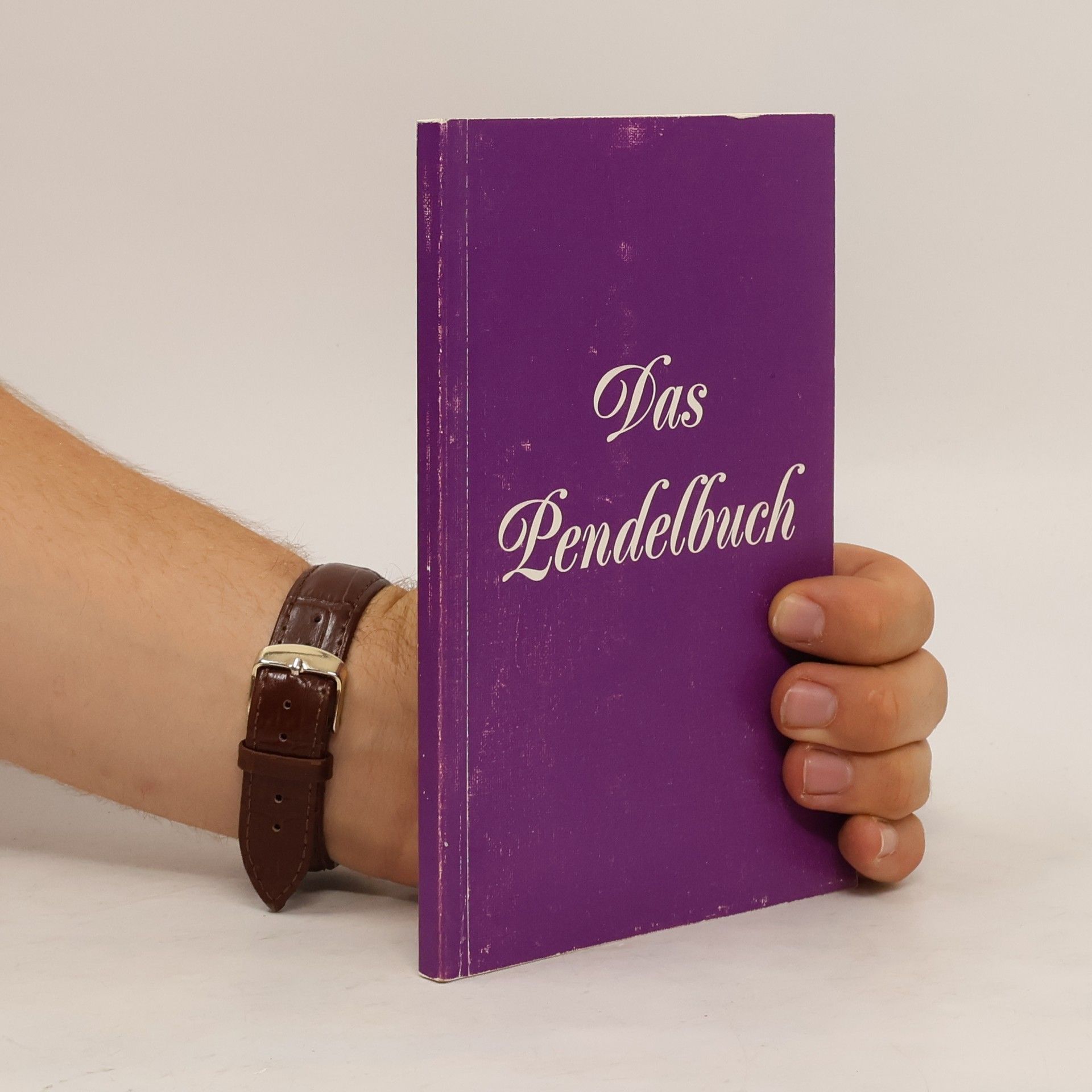 AA.VV. Das Pendelbuch
