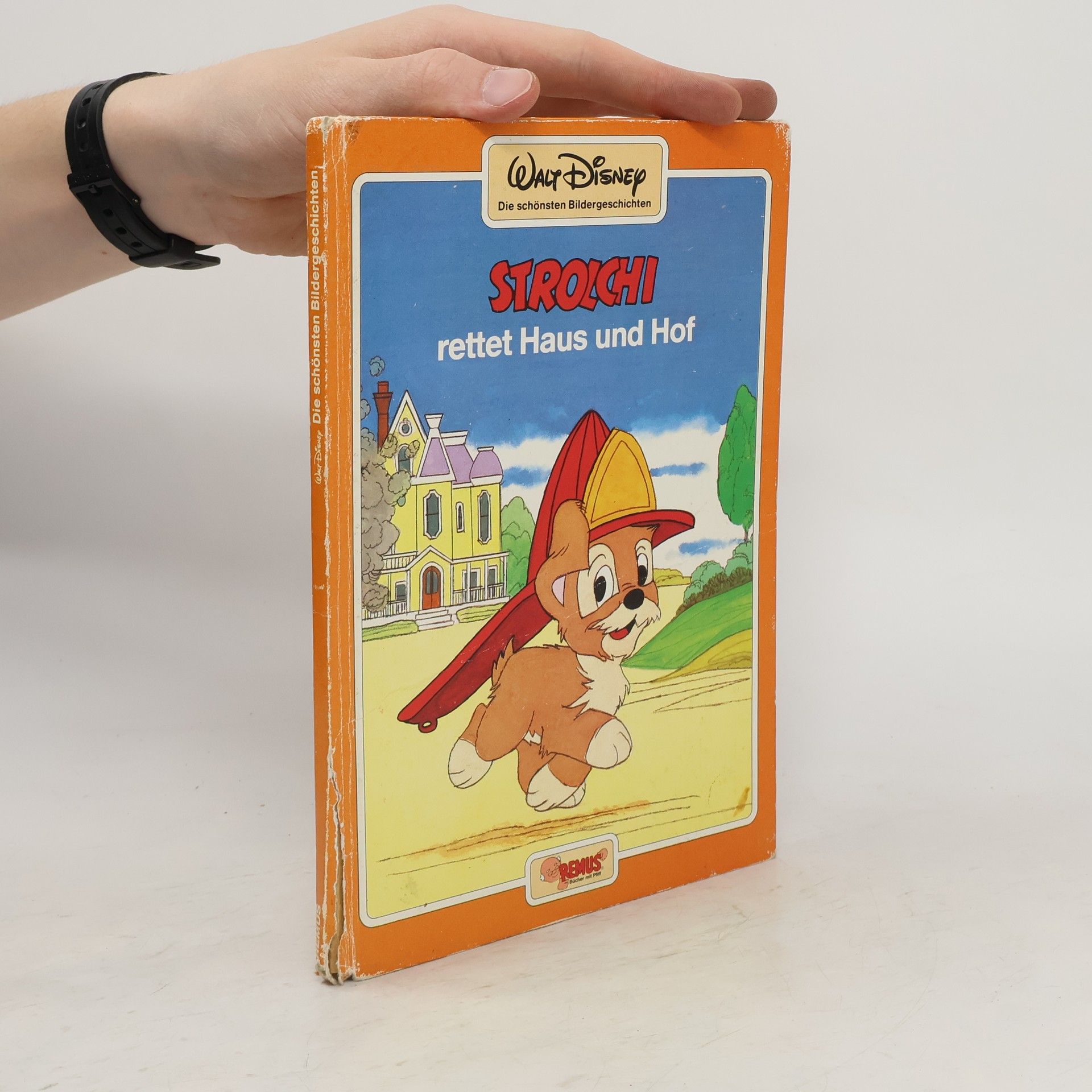Walt Disney Die schönsten Bildergeschichten. Strolchi rettet Haus und Hof