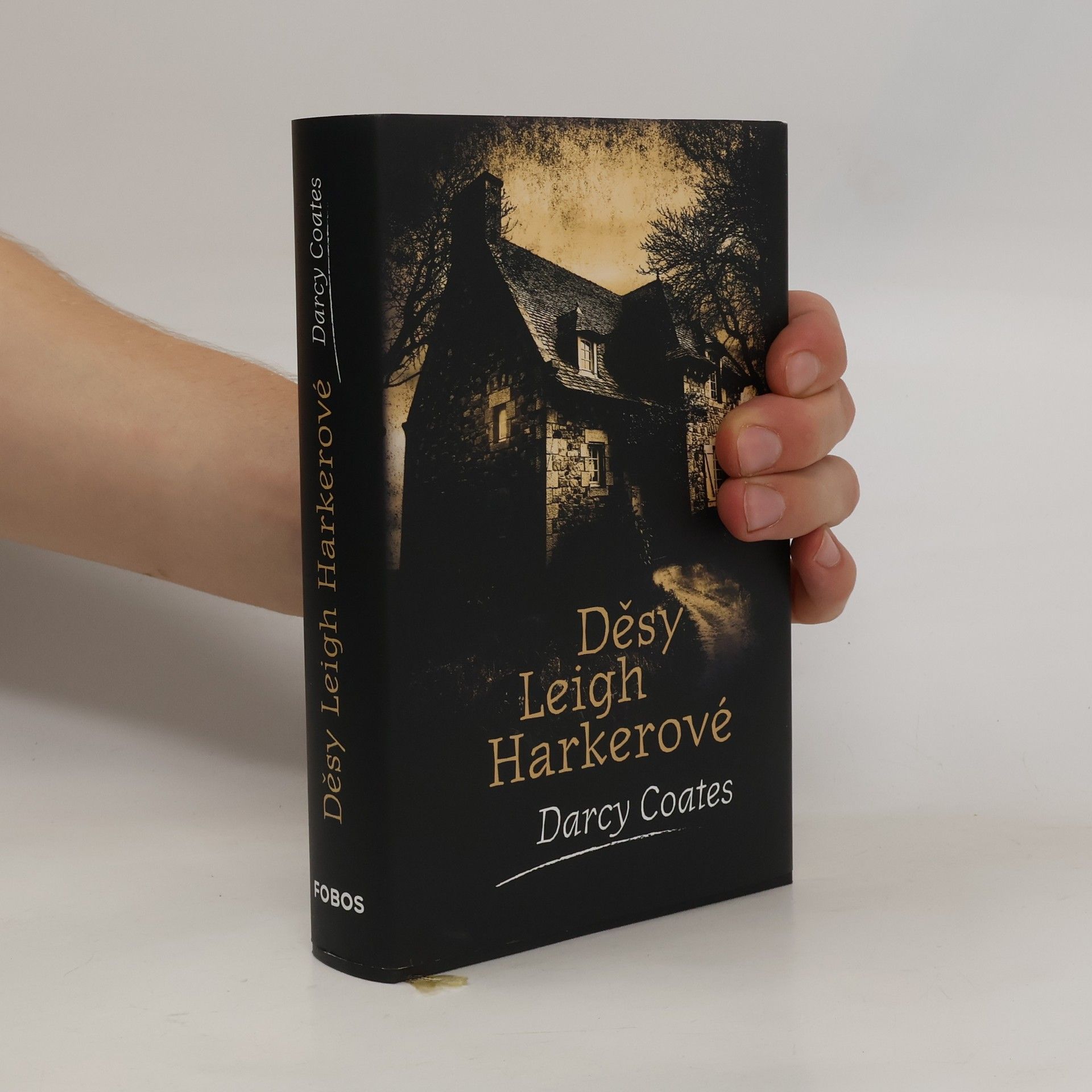 Darcy Coates Děsy Leigh Harkerové