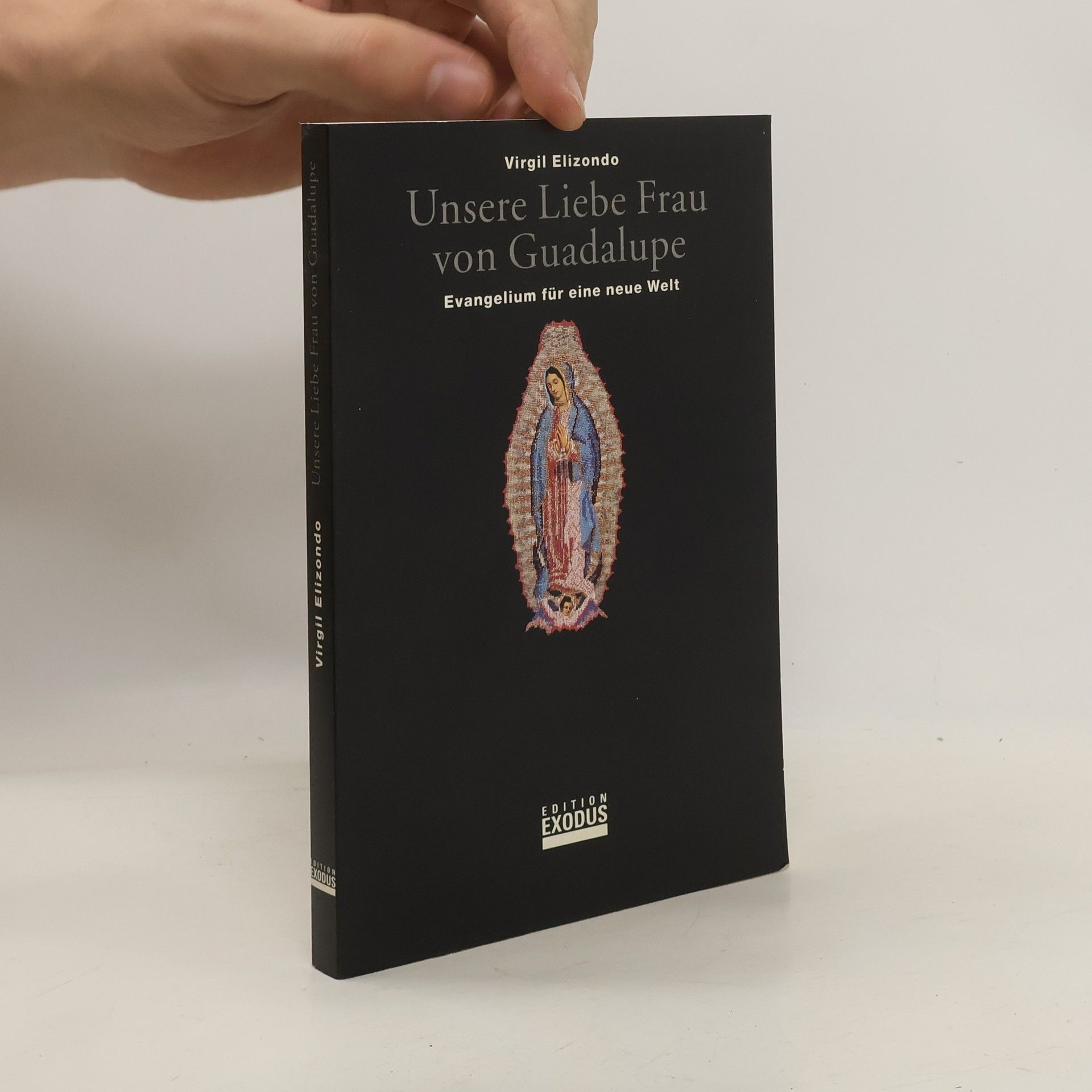 Virgilio P. Elizondo Unsere Liebe Frau von Guadalupe