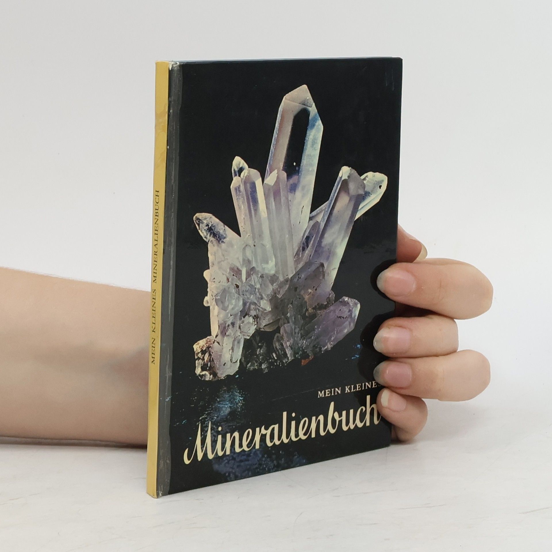 Autorenkollektiv Mein kleines Mineralienbuch