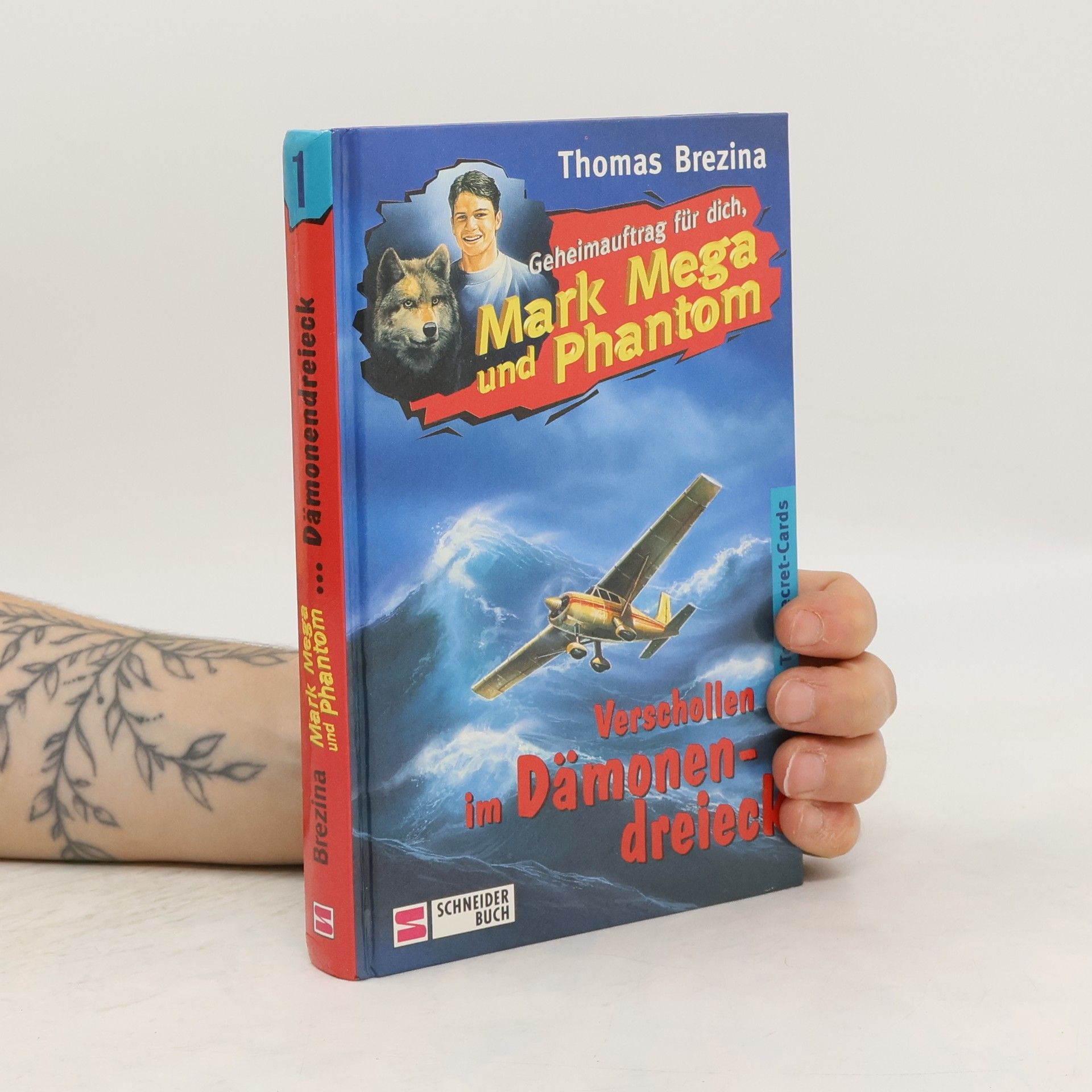 Thomas C. Brezina Geheimauftrag für dich, Mark Mega und Phantom - Verschollen im Dämonendreieck. Band 1