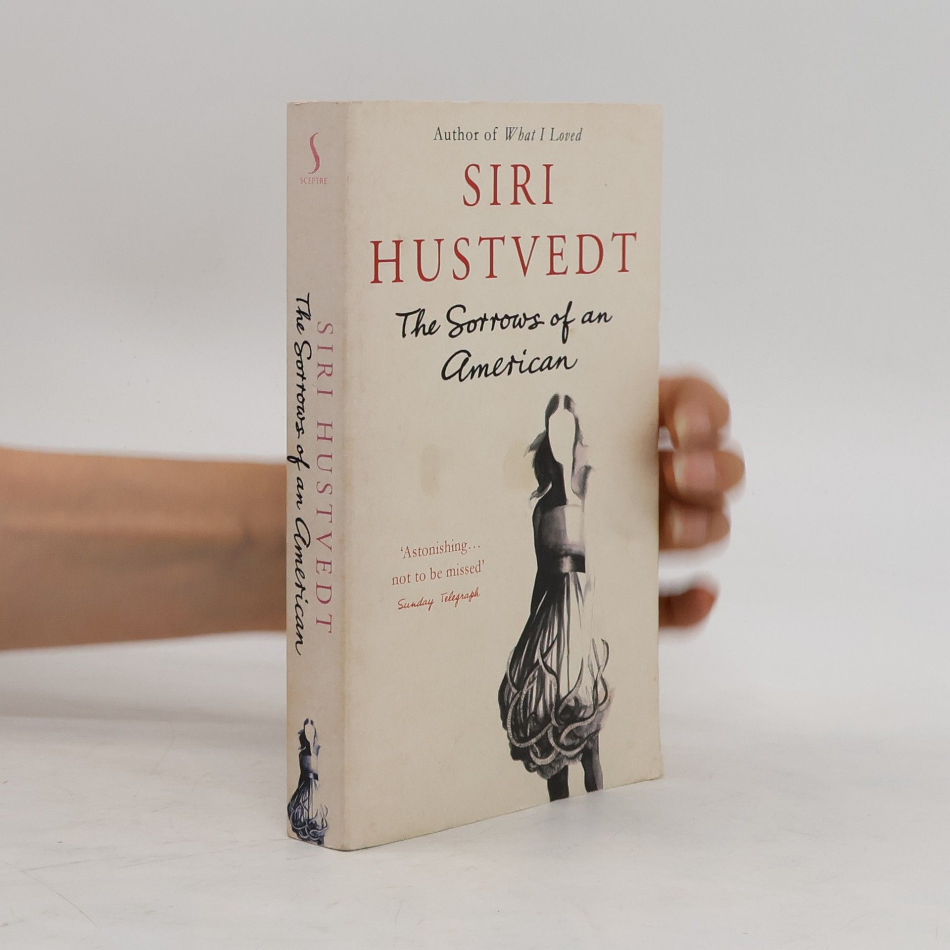 Siri Hustvedt The Sorrows of an American