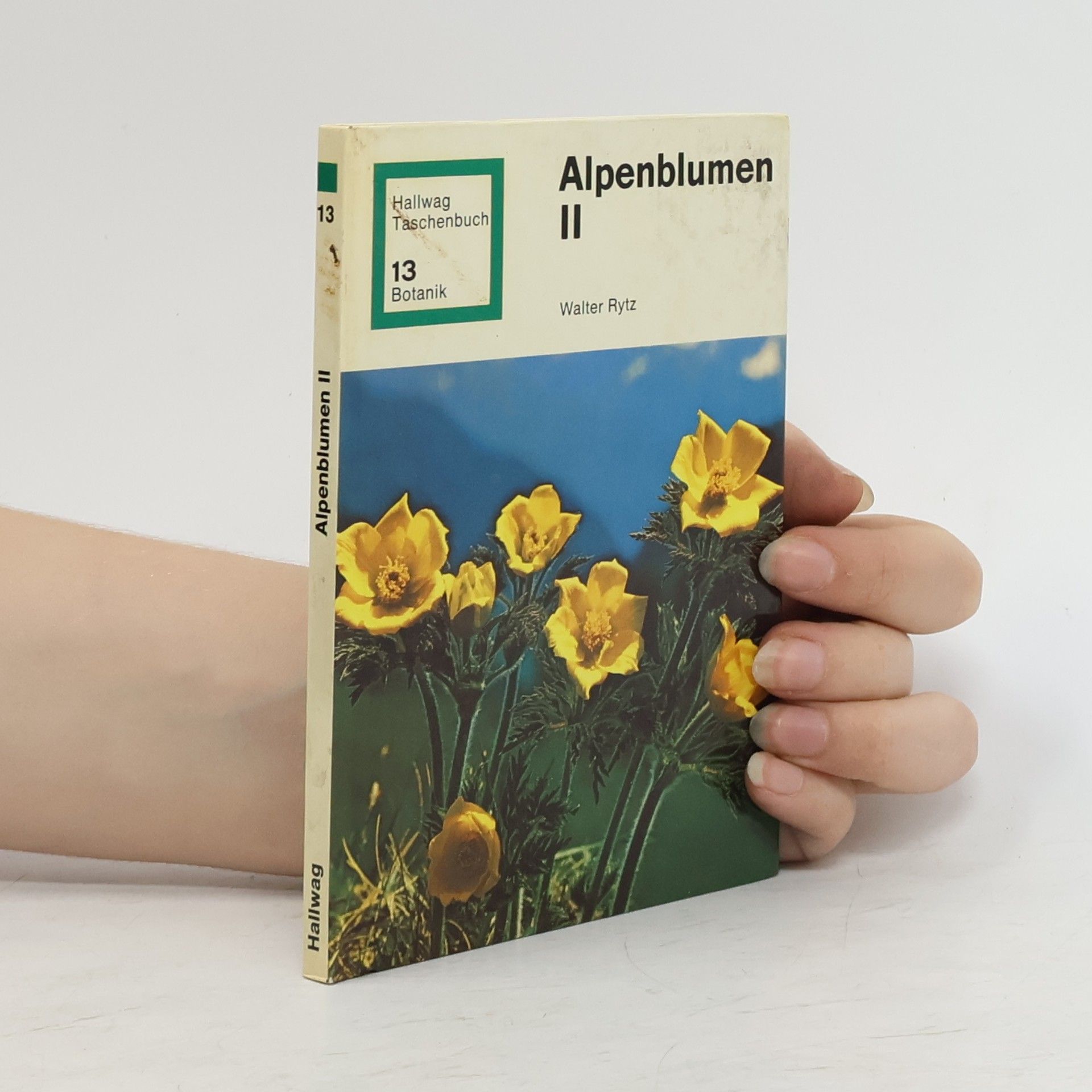 Walter Rytz Alpenblumen II. 13