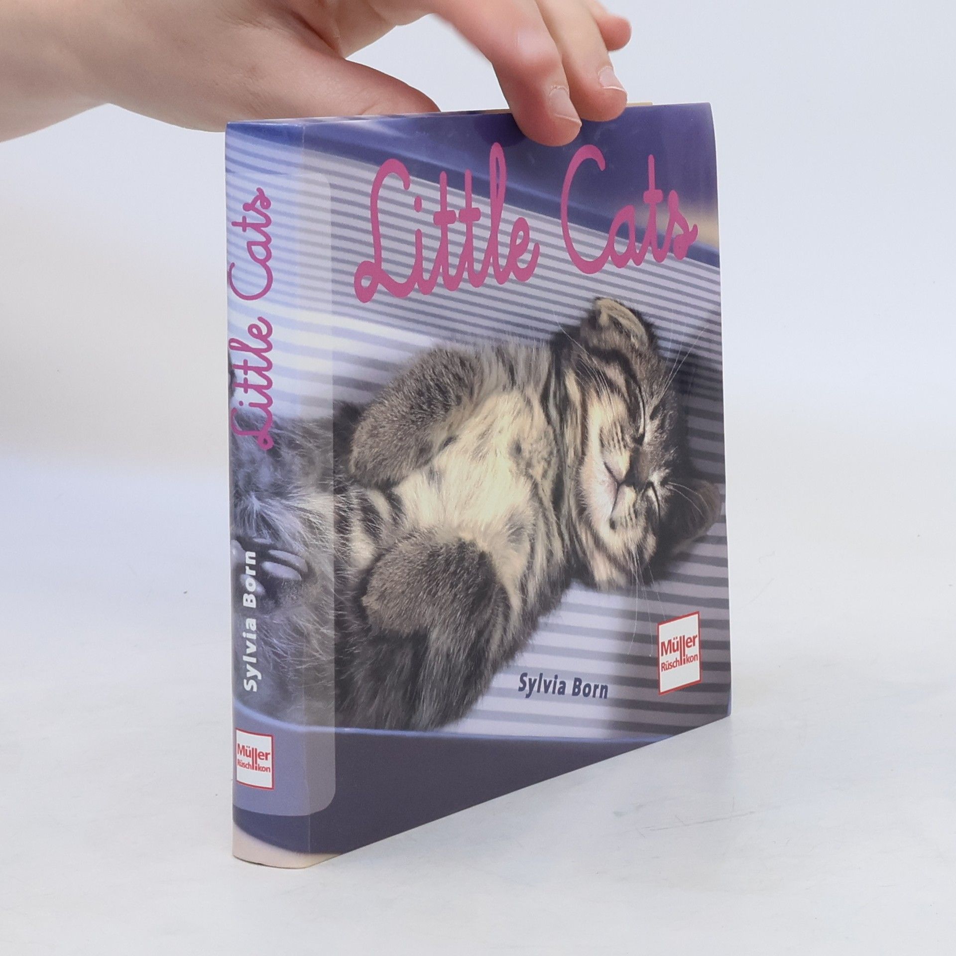 Sylvia Born Little Cats