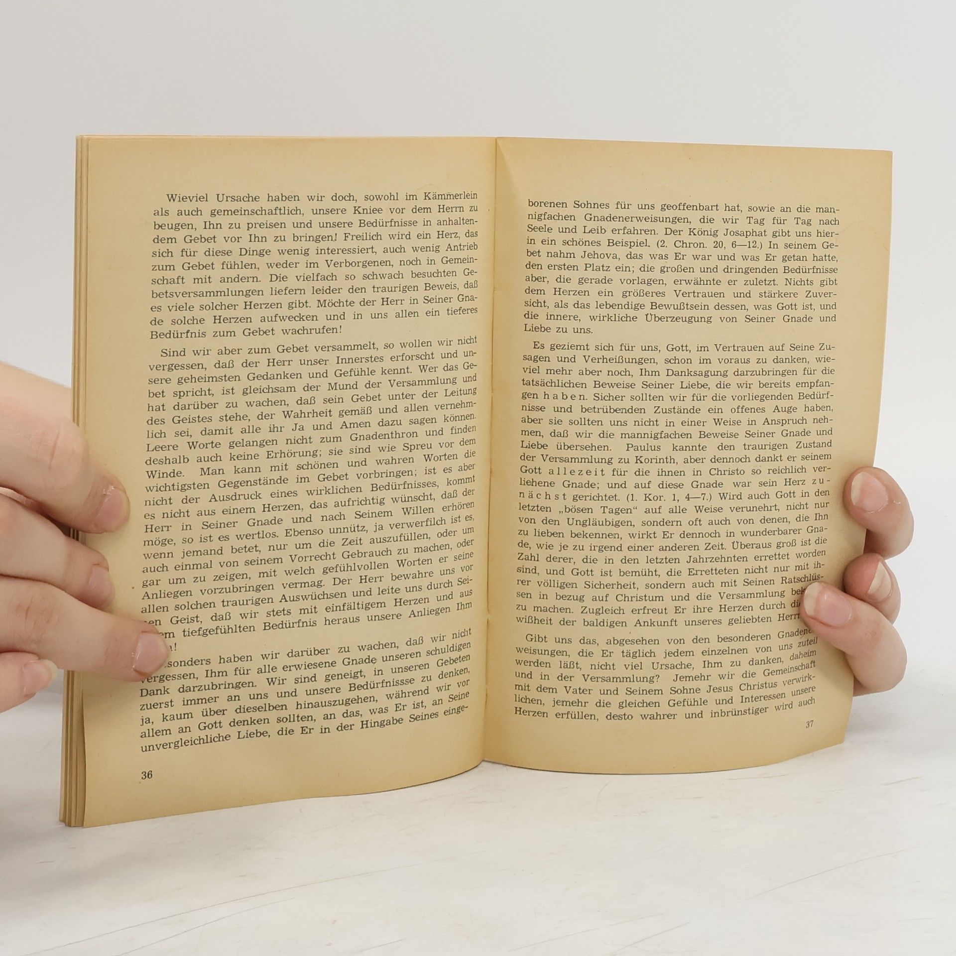 Ernst Paulus Der Gläubige und der Verfall