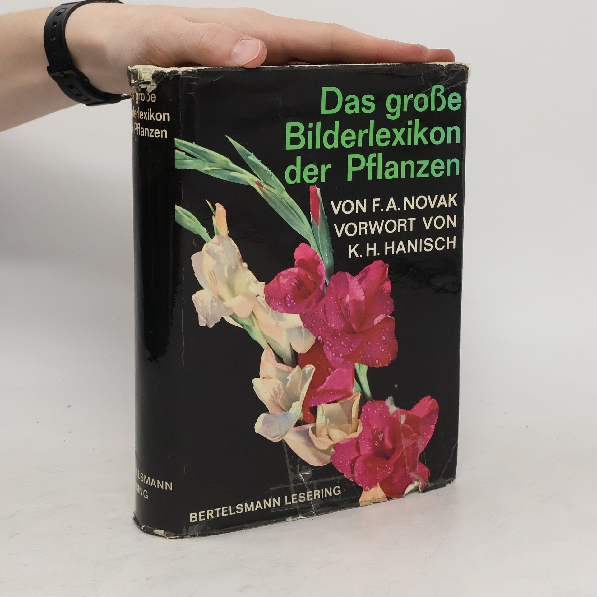 Novák F. A. Das grosse Bilderlexikon der Pflanzen