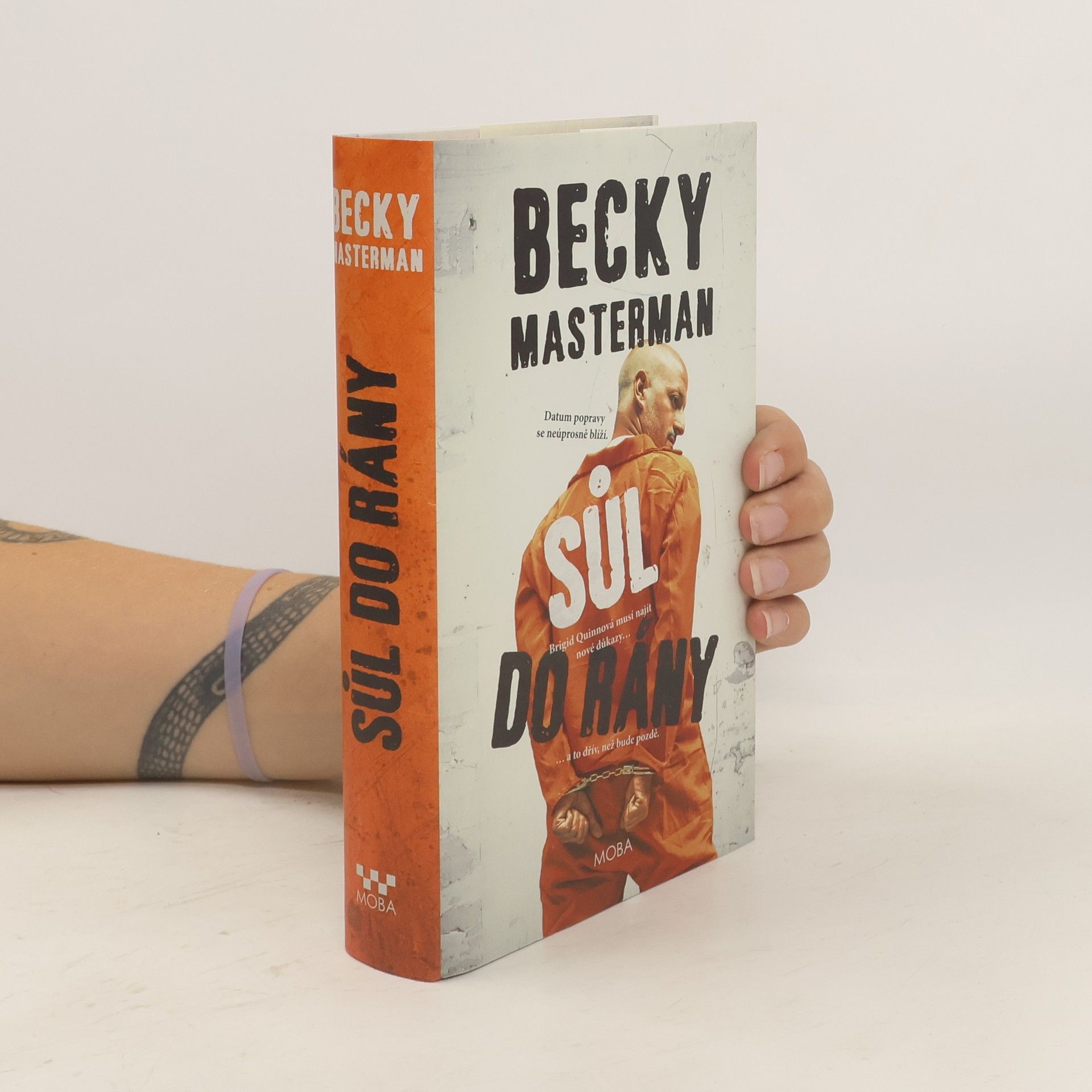 Becky Masterman Sůl do rány