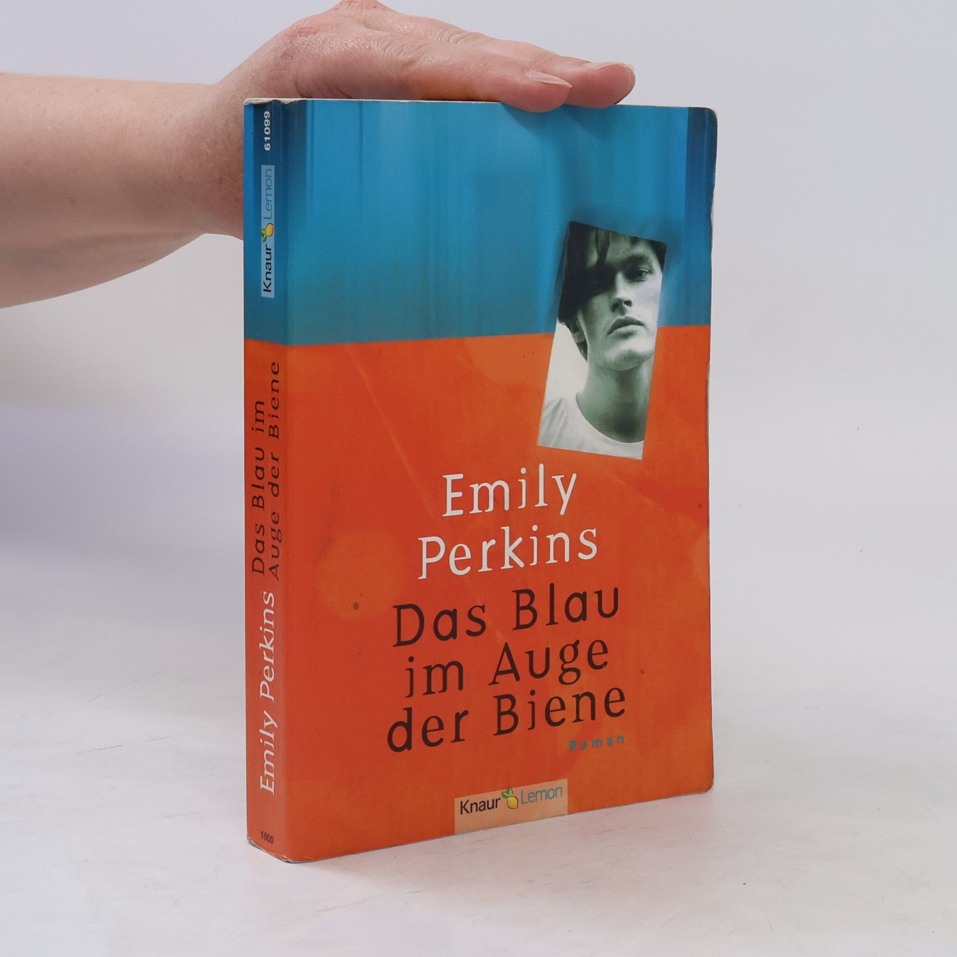 Emily Perkins Das Blau im Auge der Biene. Roman. Aus d. Engl. v. Angela Schumitz